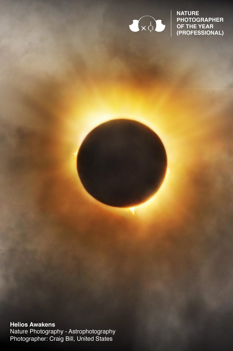 Nature Photography of the Year 2026
