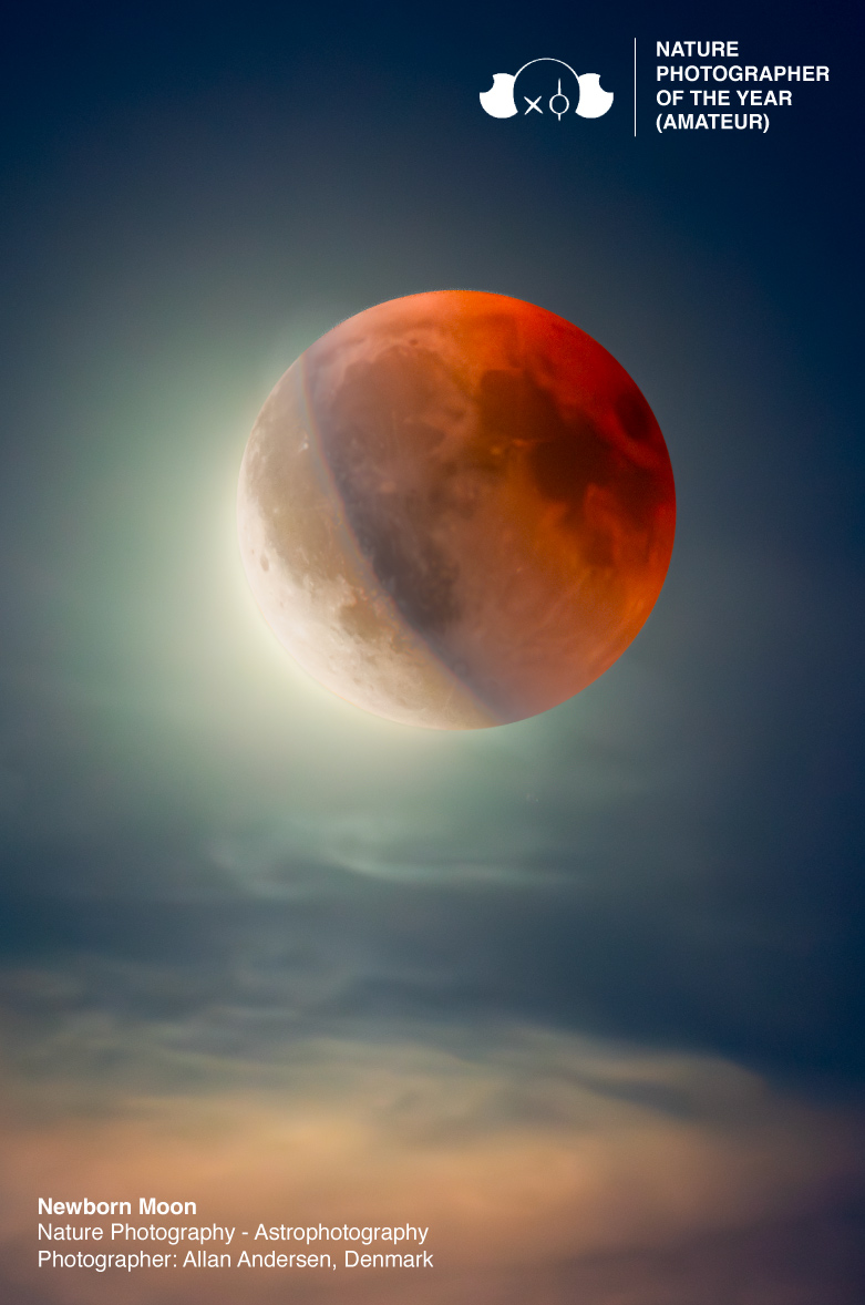 Nature Photography of the Year 2026