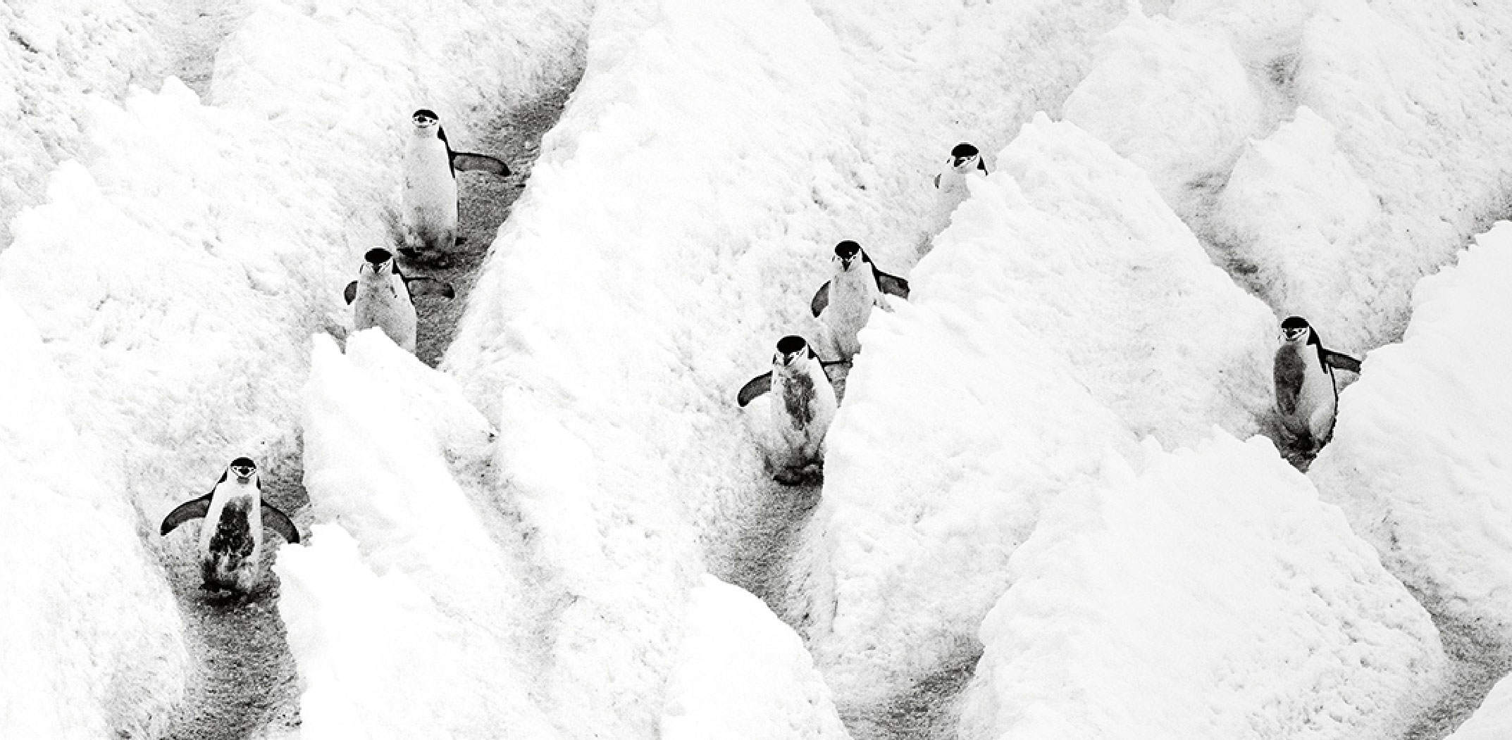 London Photography Awards - Black & White Photography