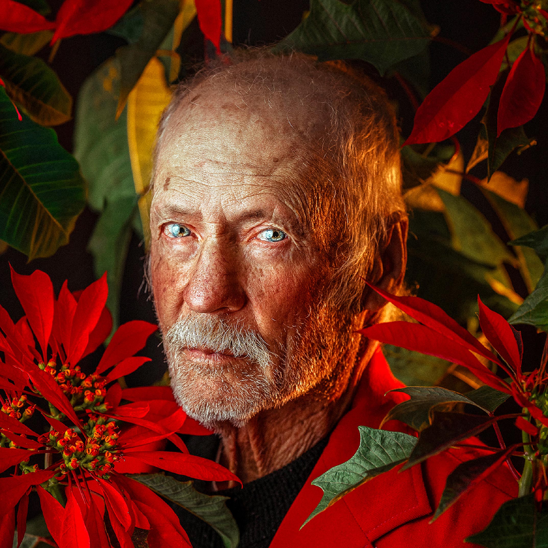 London Photography Awards - Fine Art Photography