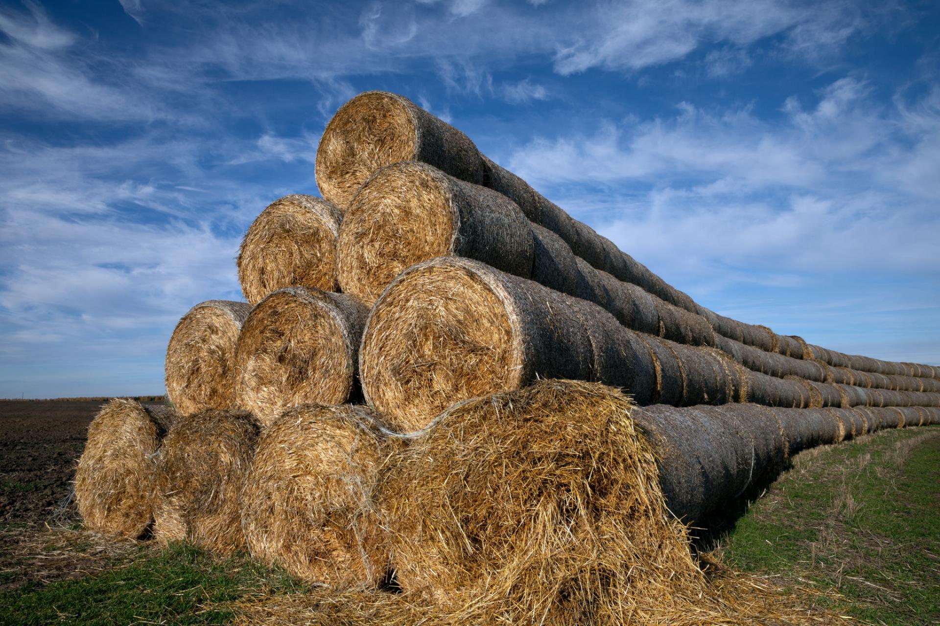 London Photography Awards Winner - Hay Pipeline