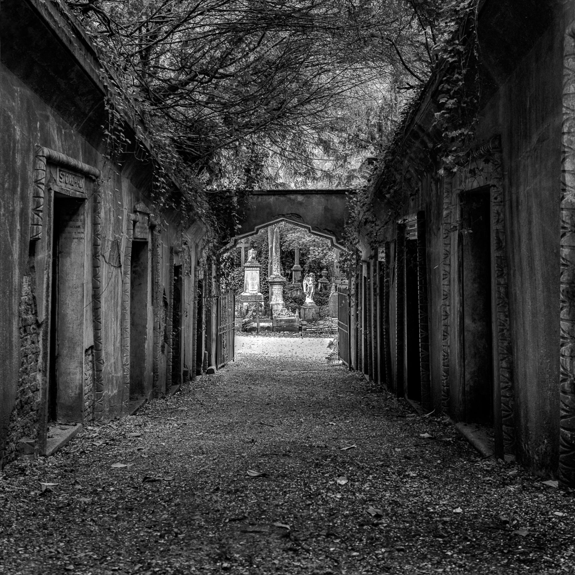 London Photography Awards Winner - PASSAGE OF TIME