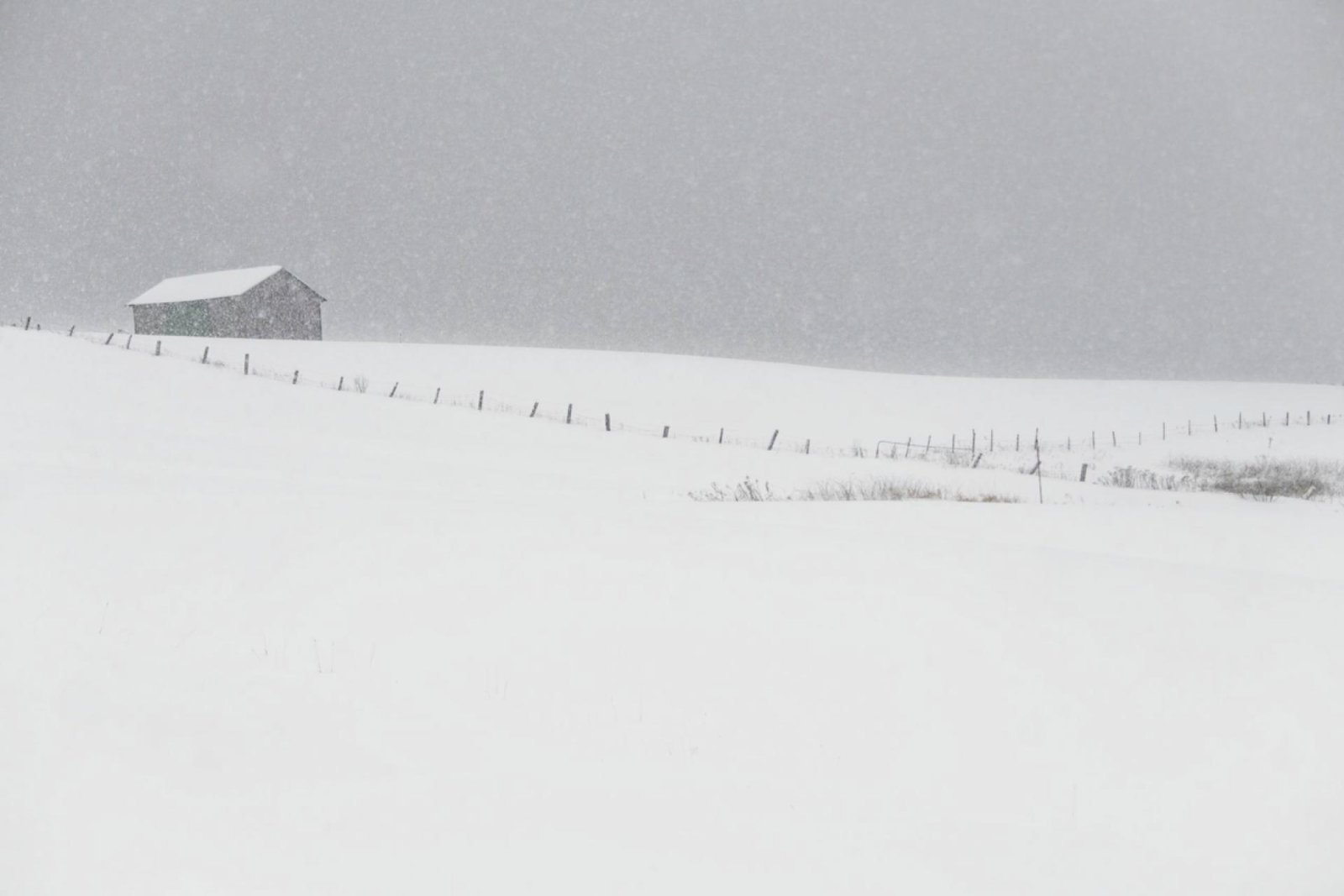 London Photography Awards Winner - Peaceful Winter