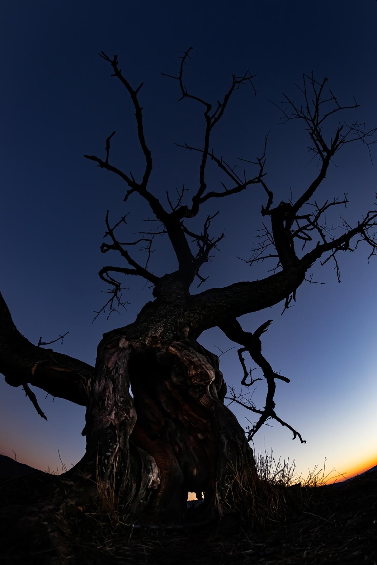 London Photography Awards Winner - Ents