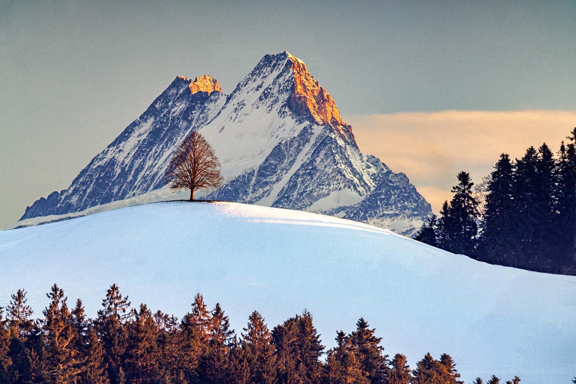 London Photography Awards Winner - SUNSET AT SCHRECKHORN