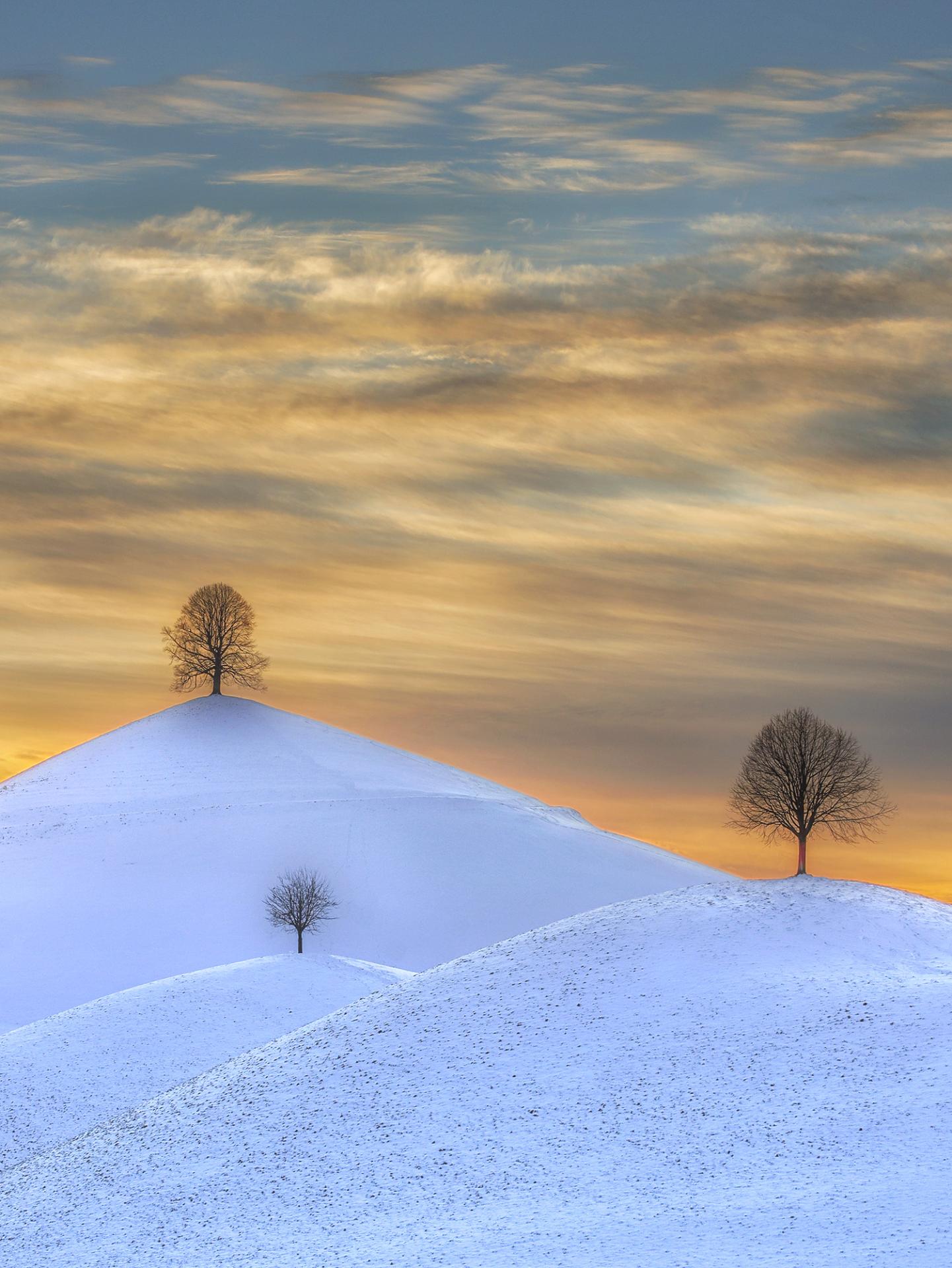 London Photography Awards Winner - TRIPEL TREES ON THE HILLS