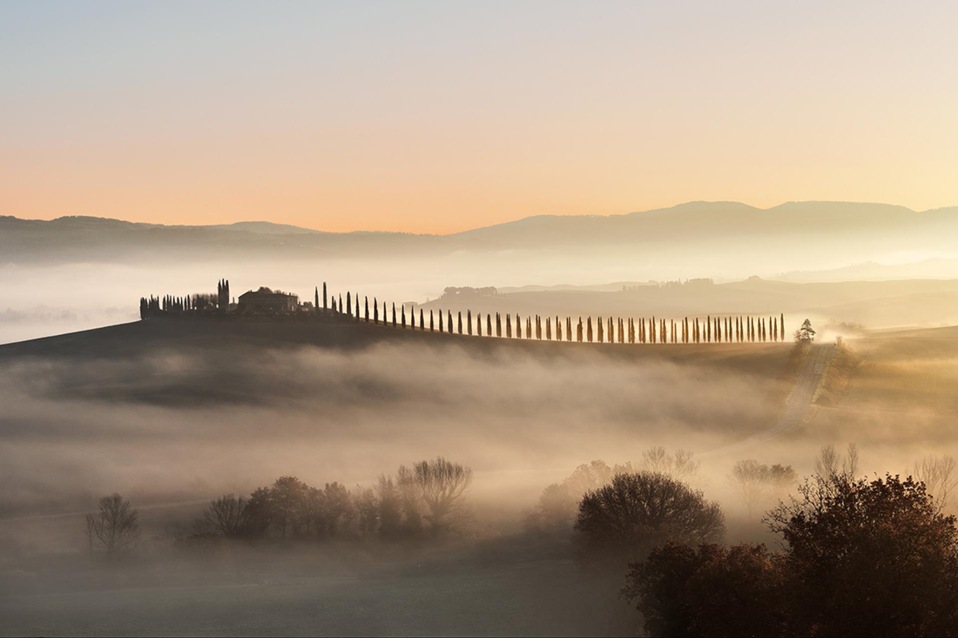 London Photography Awards Winner - Light and Fog in Tuscany