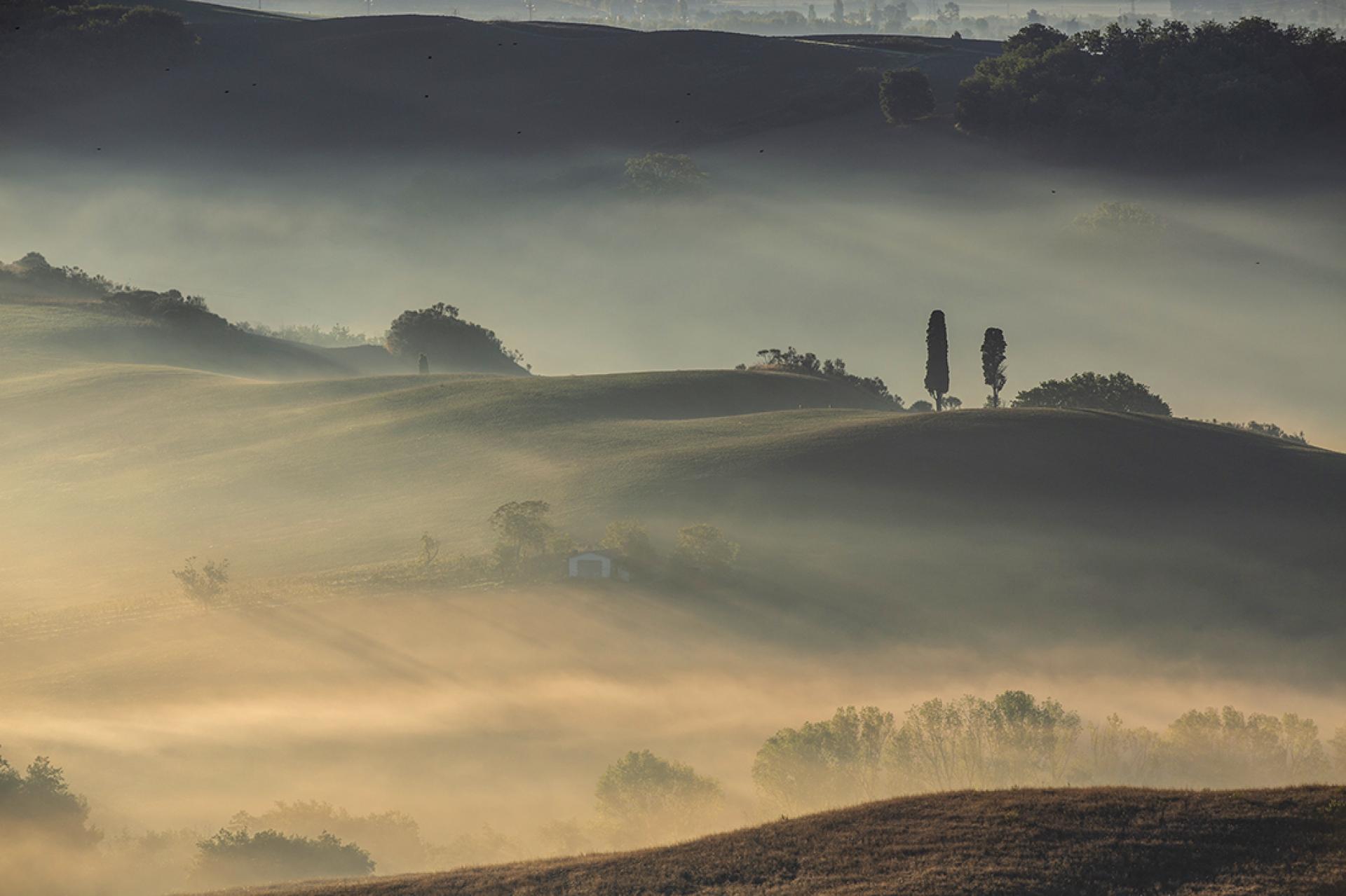 London Photography Awards Winner - Light and Fog in Tuscany