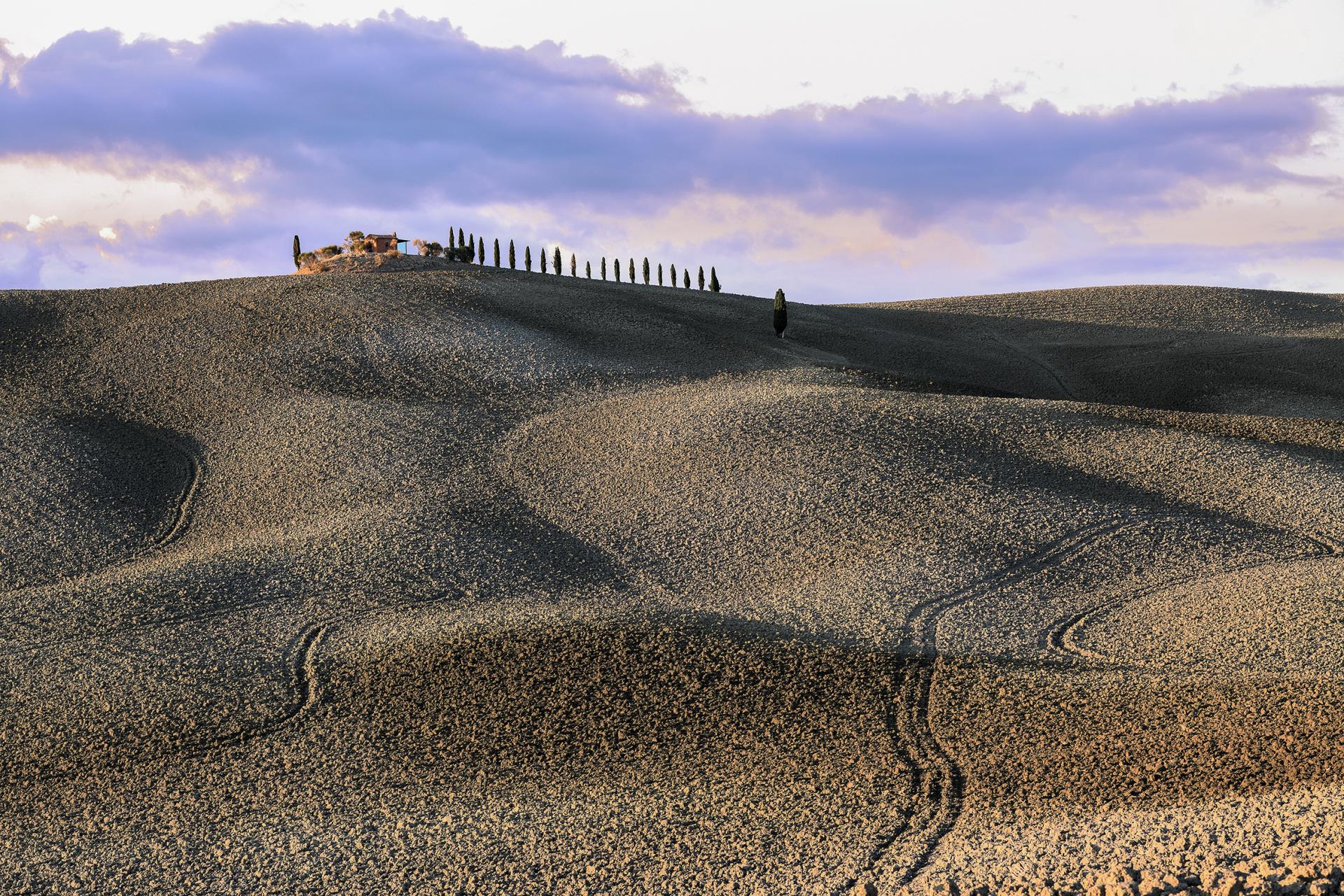 London Photography Awards Winner - Val d'Orcia Land in Autumn