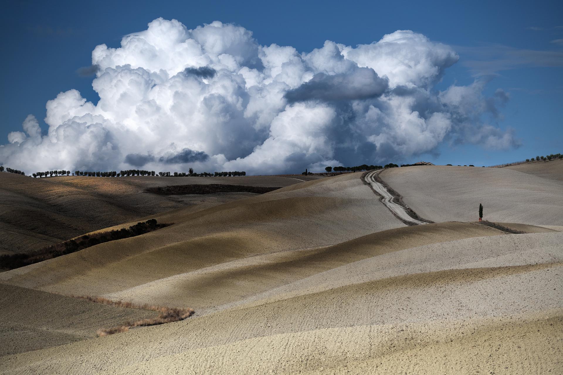 London Photography Awards Winner - Val d'Orcia Land in Autumn