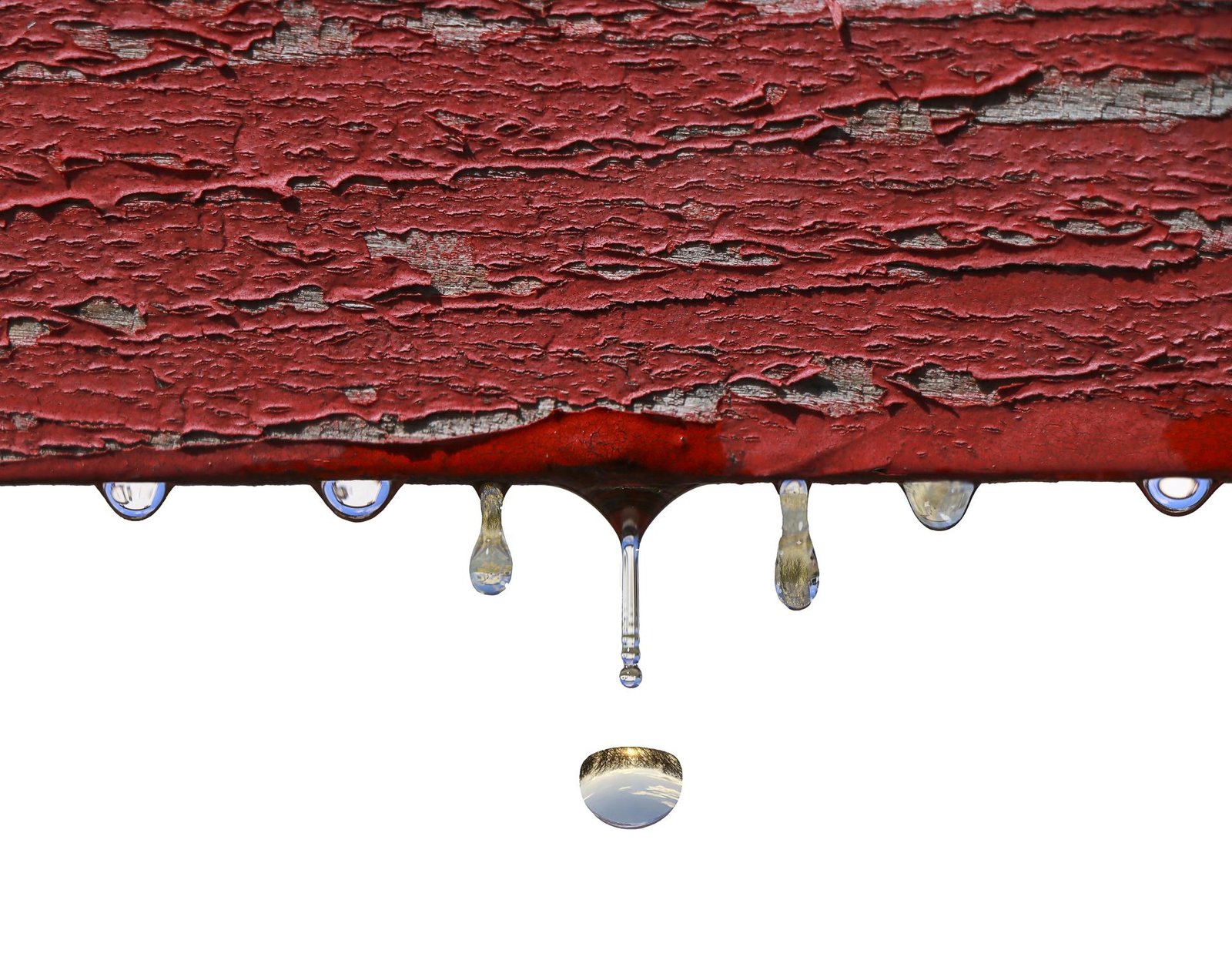 London Photography Awards Winner - Life in a Raindrop