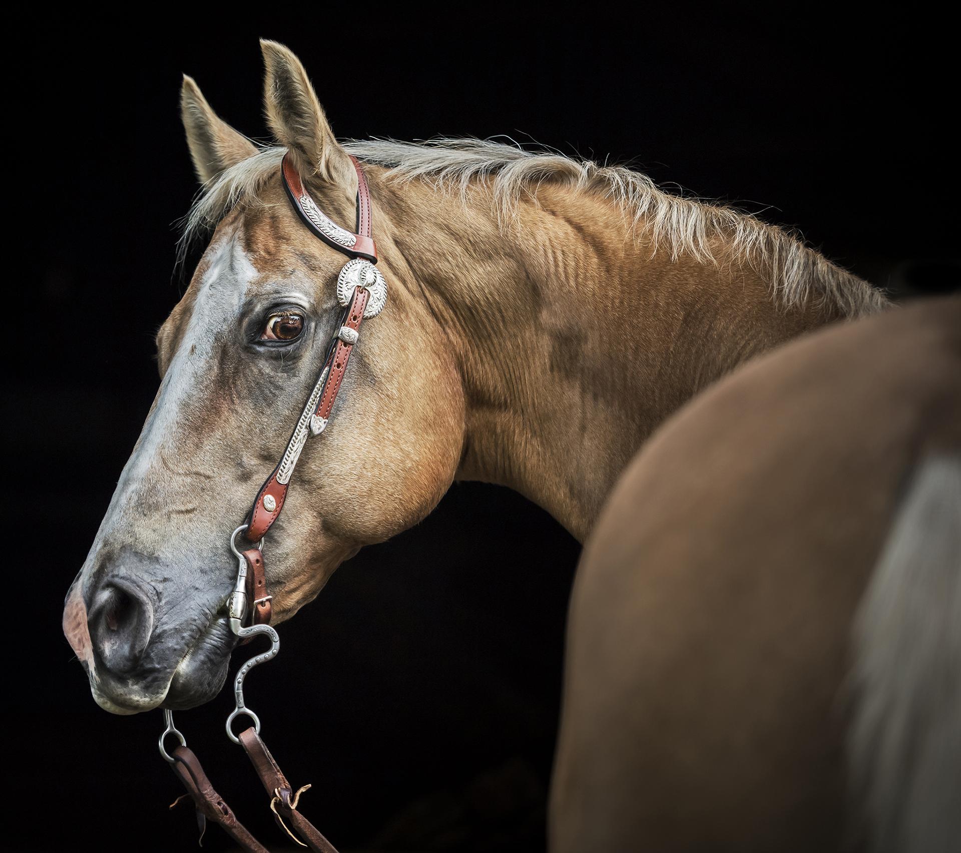 London Photography Awards Winner - Teeko