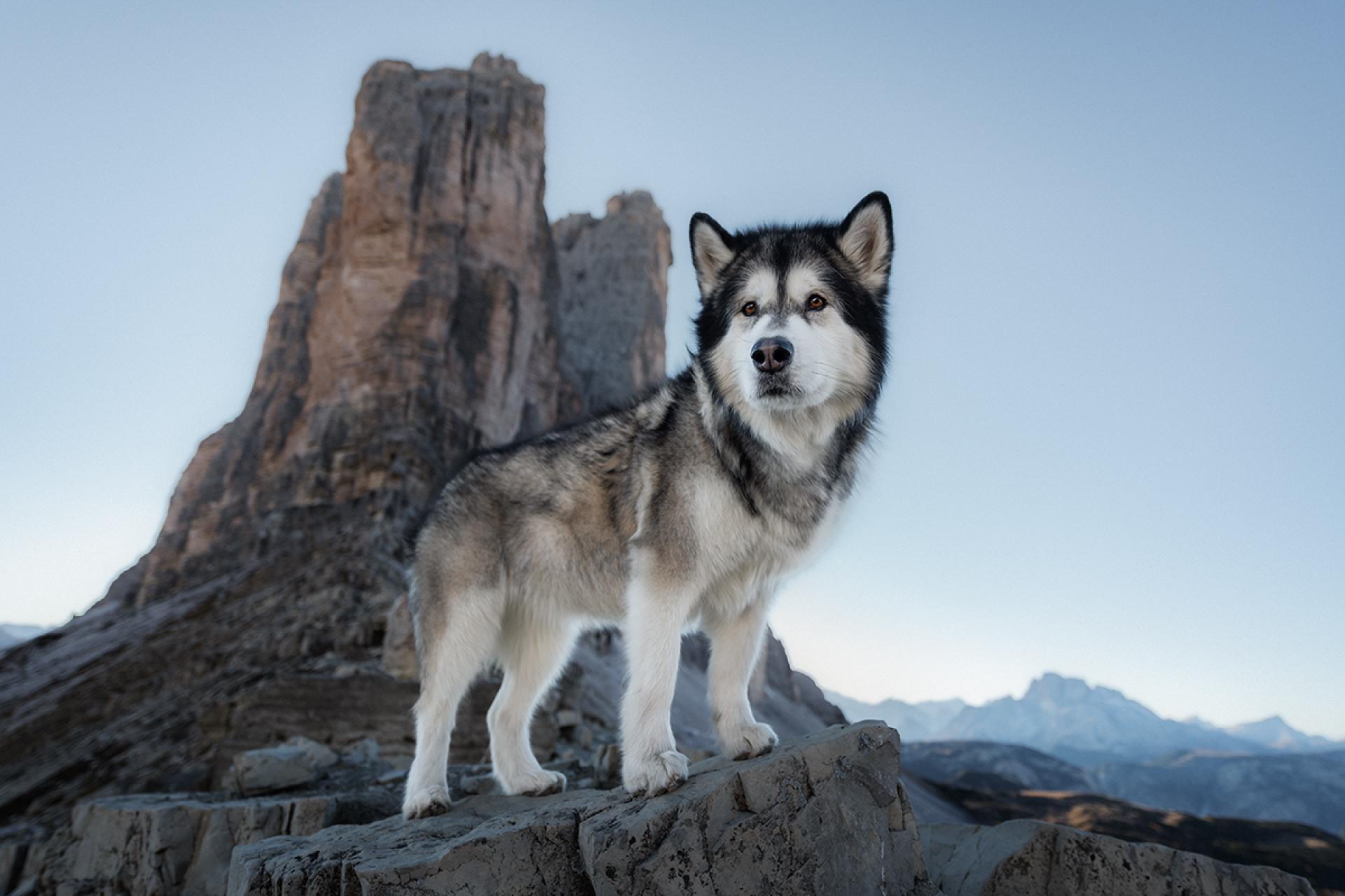 London Photography Awards Winner - journey to the bizarre dolomites