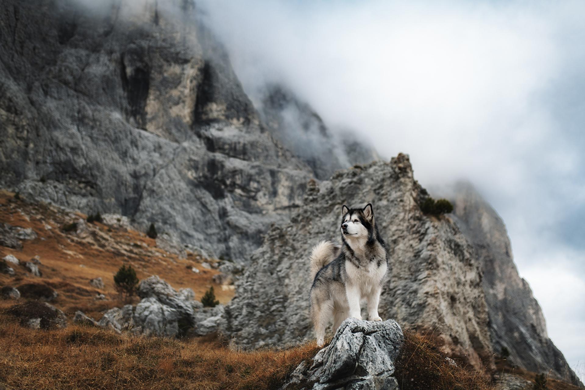 London Photography Awards Winner - journey to the bizarre dolomites