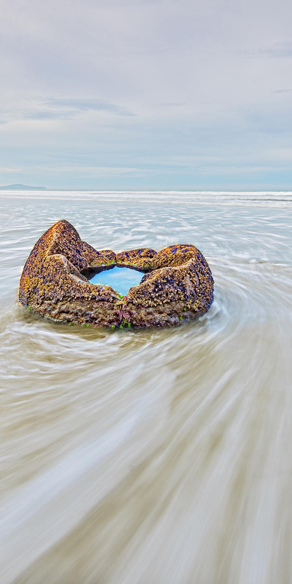 London Photography Awards Winner - Natures Cup