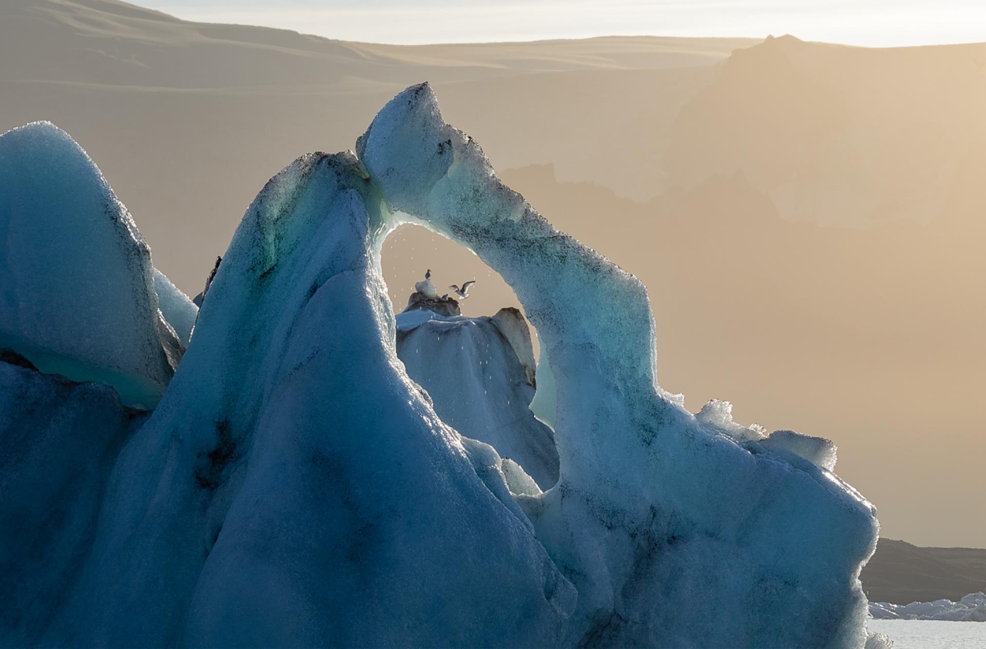 London Photography Awards Winner - Solastalgia