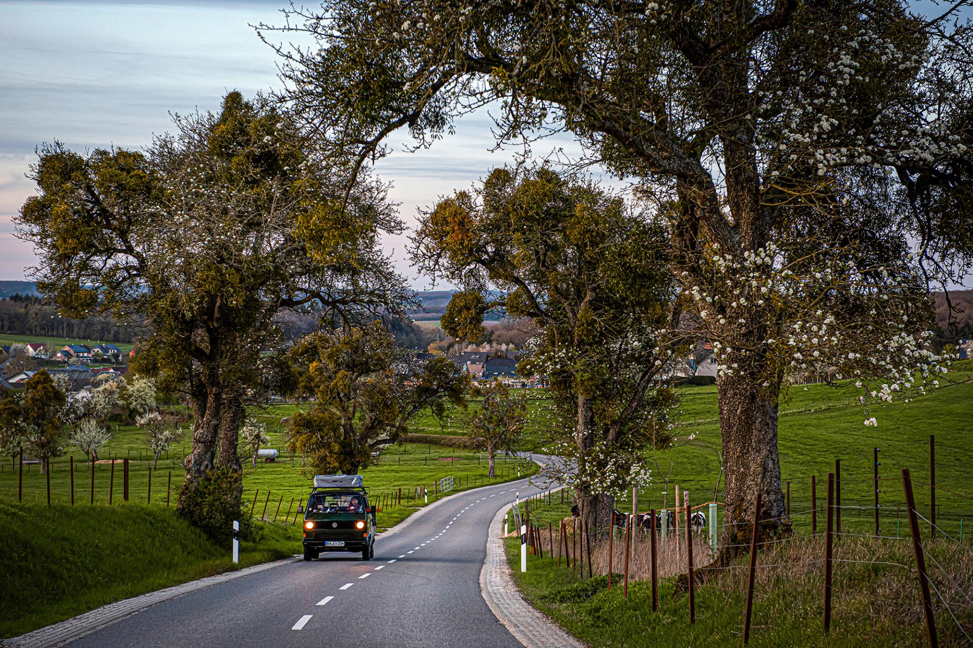 London Photography Awards Winner - A Roadtrip through Luxembourg