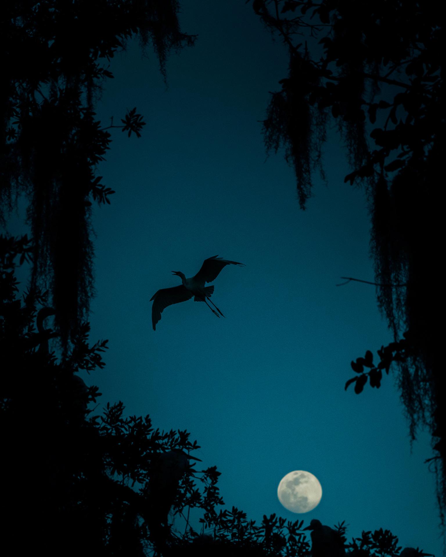 London Photography Awards Winner - When the Moon Rises