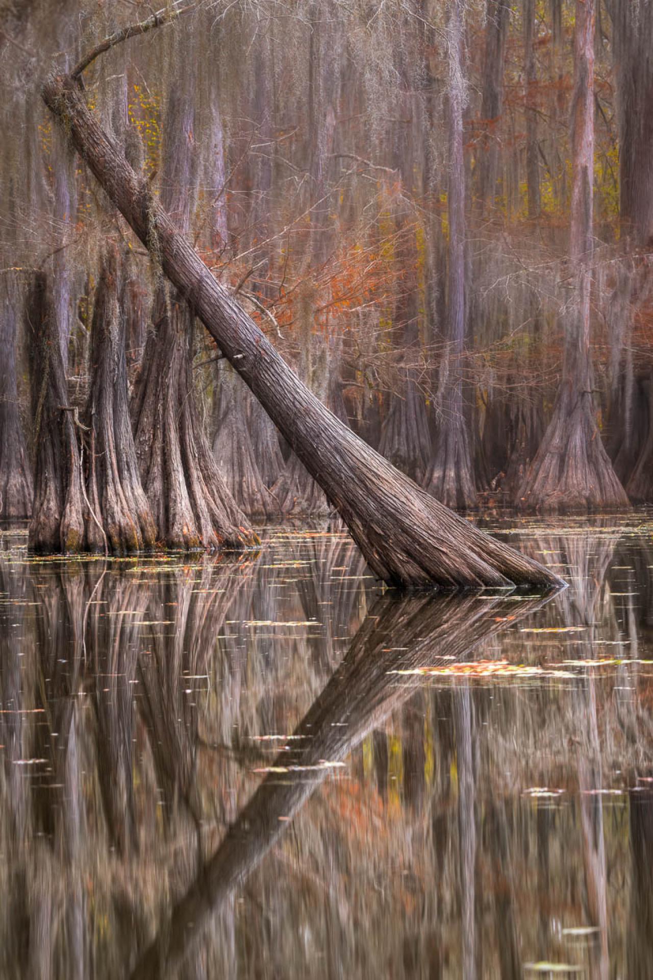 London Photography Awards Winner - Pastel Reflection