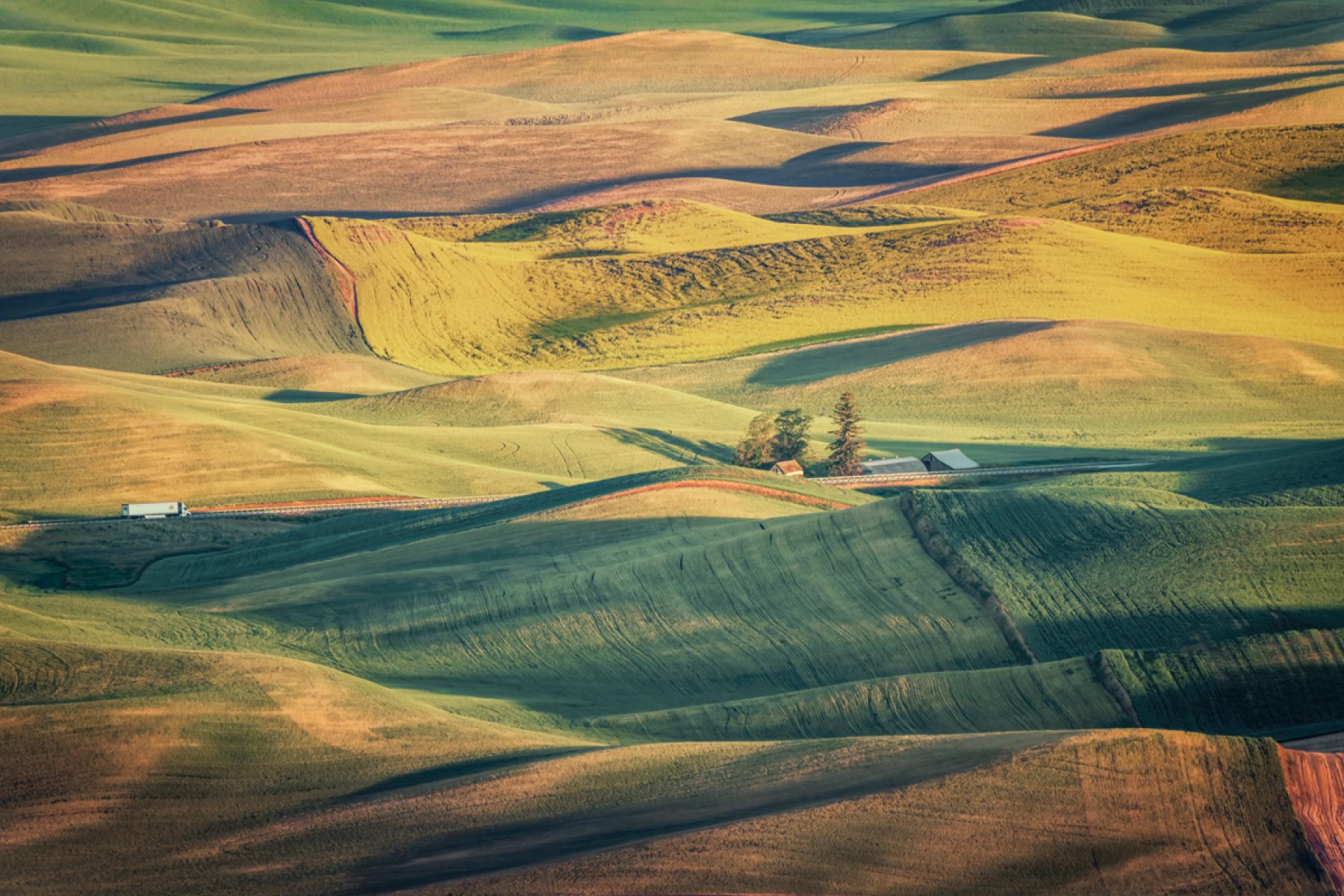 London Photography Awards Winner - Palouse wheat fields 