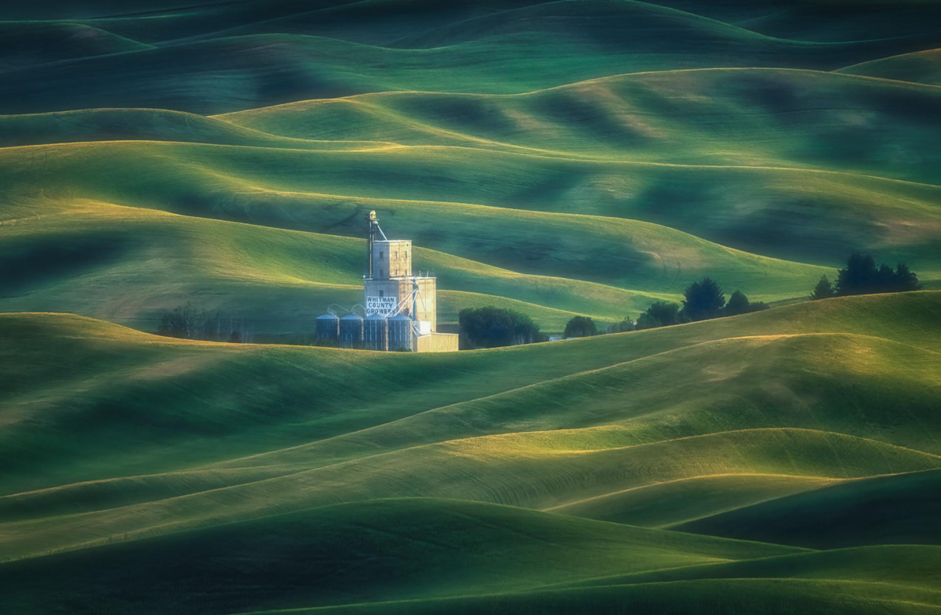 London Photography Awards Winner - Palouse wheat fields 