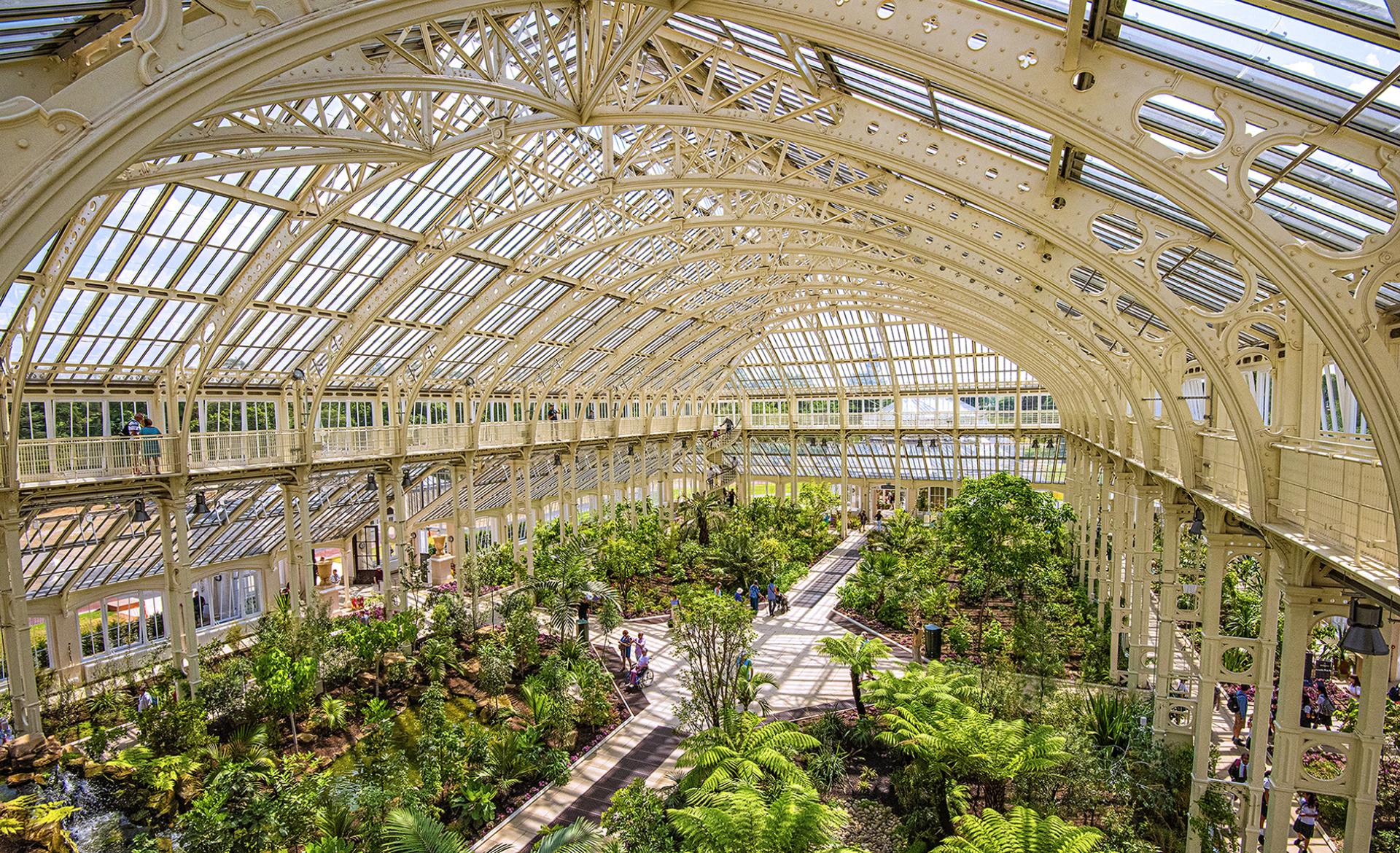 London Photography Awards Winner - Inside the Temperate House