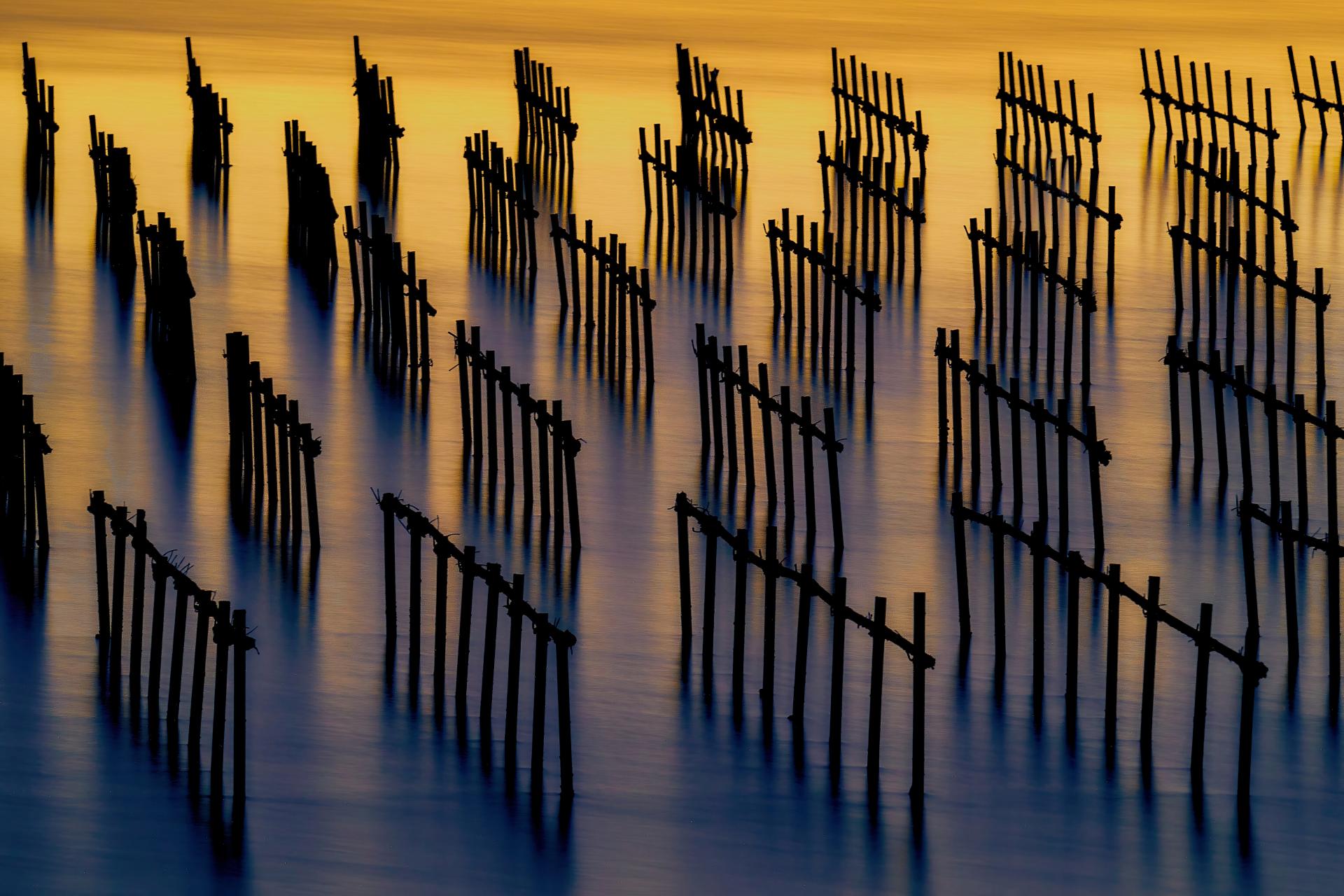 London Photography Awards Winner - Oyster Shack light and shadow water flow