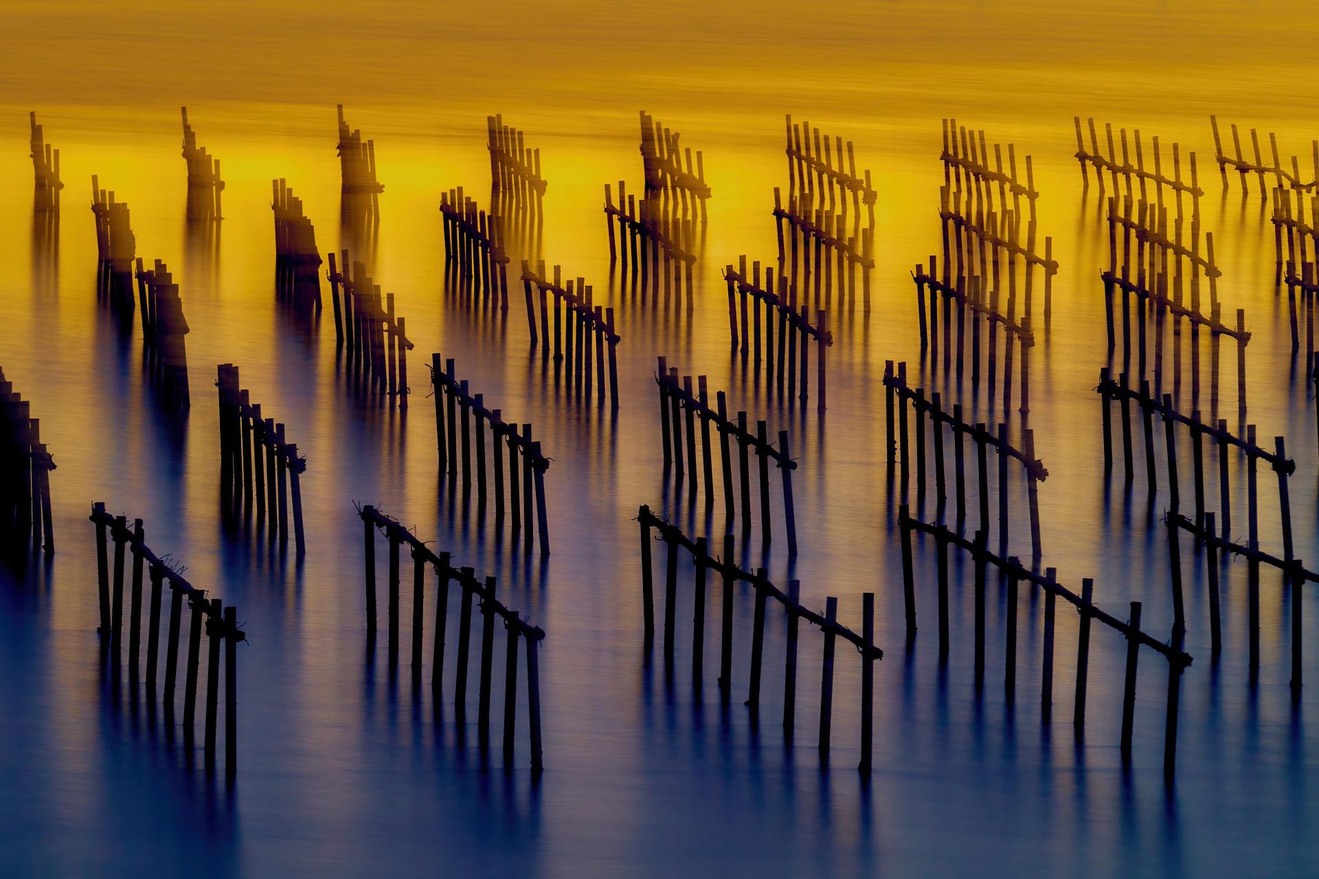 London Photography Awards Winner - Oyster Shack light and shadow water flow