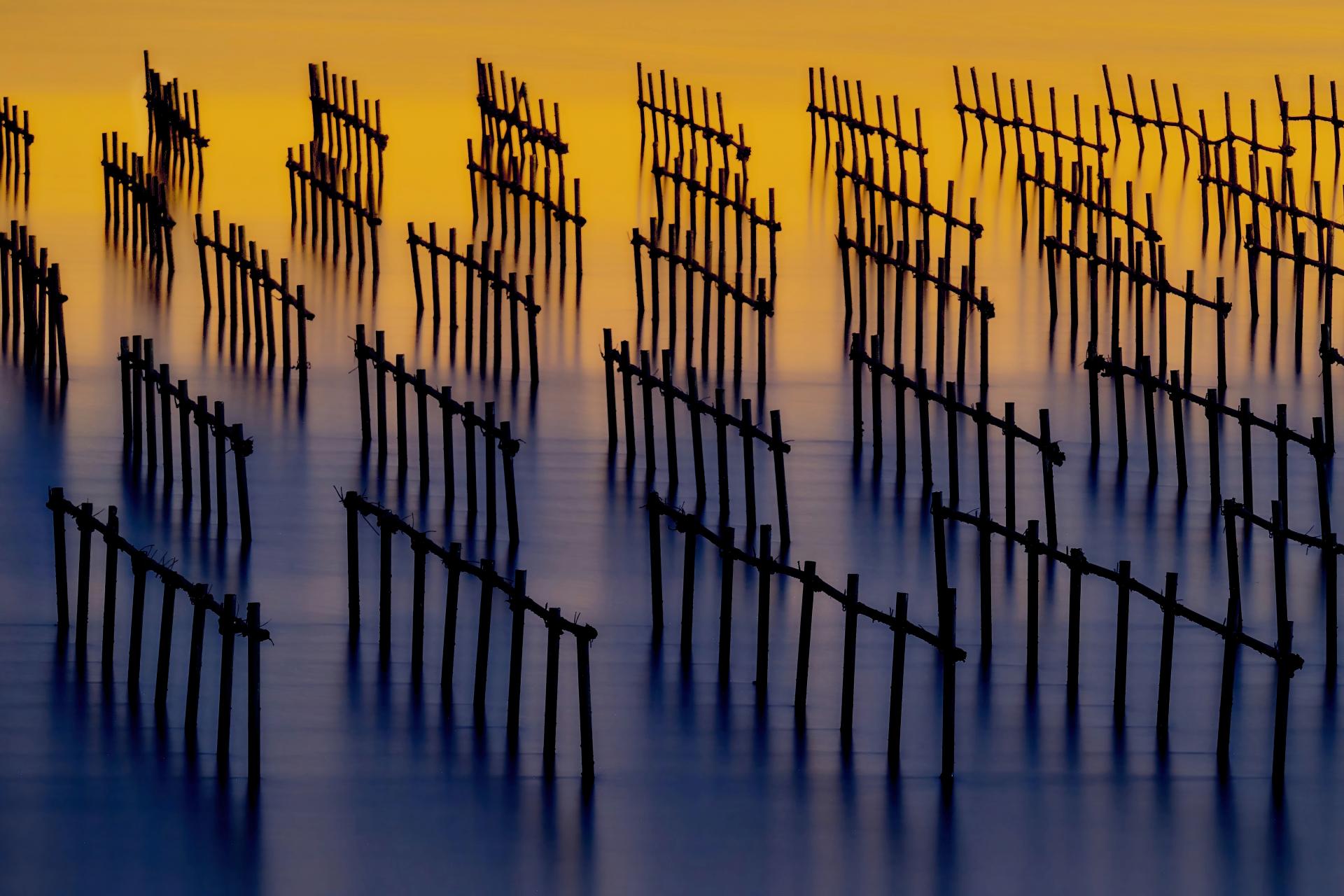 London Photography Awards Winner - Oyster Shack light and shadow water flow