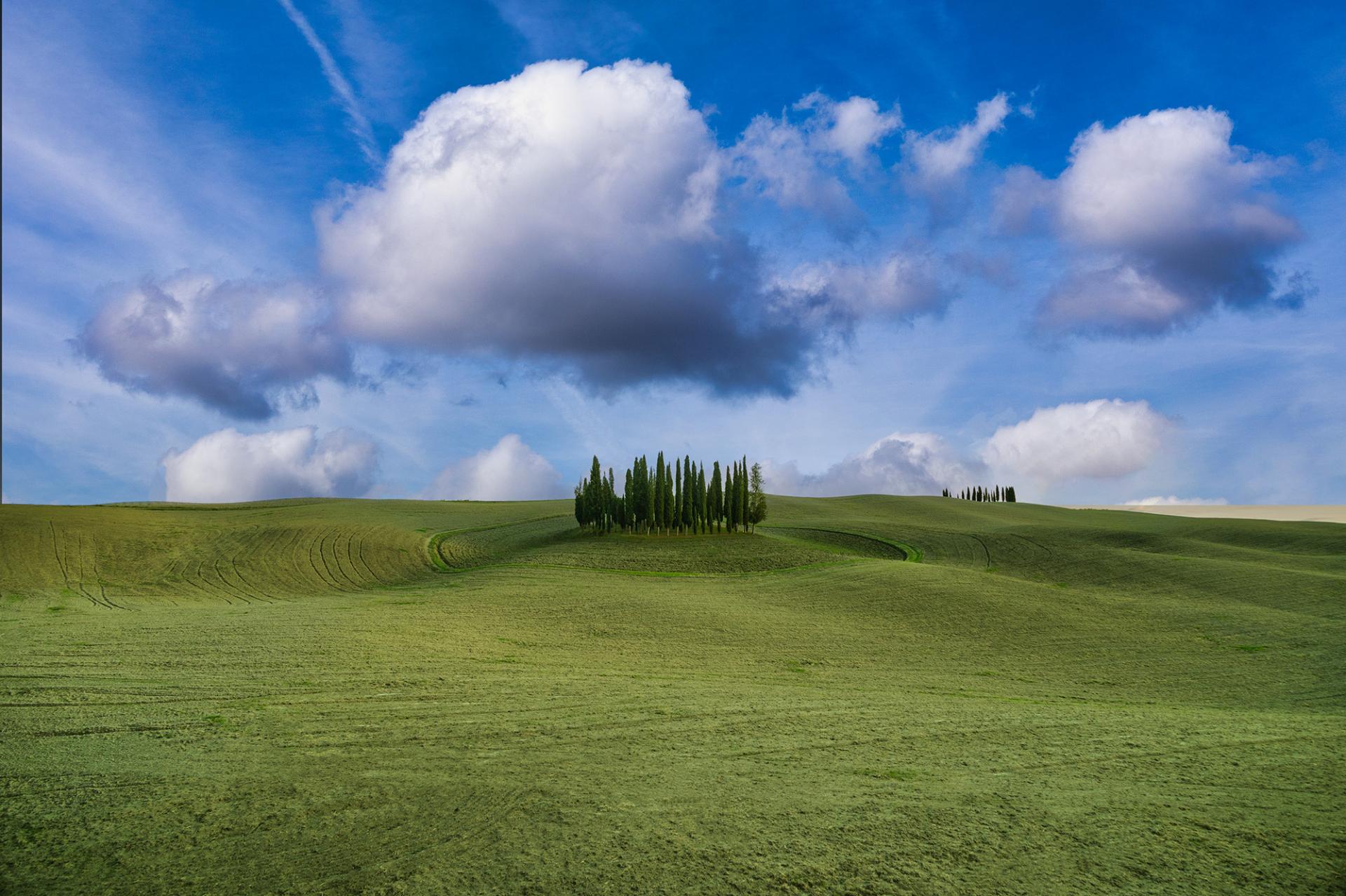 London Photography Awards Winner - The Cipressini