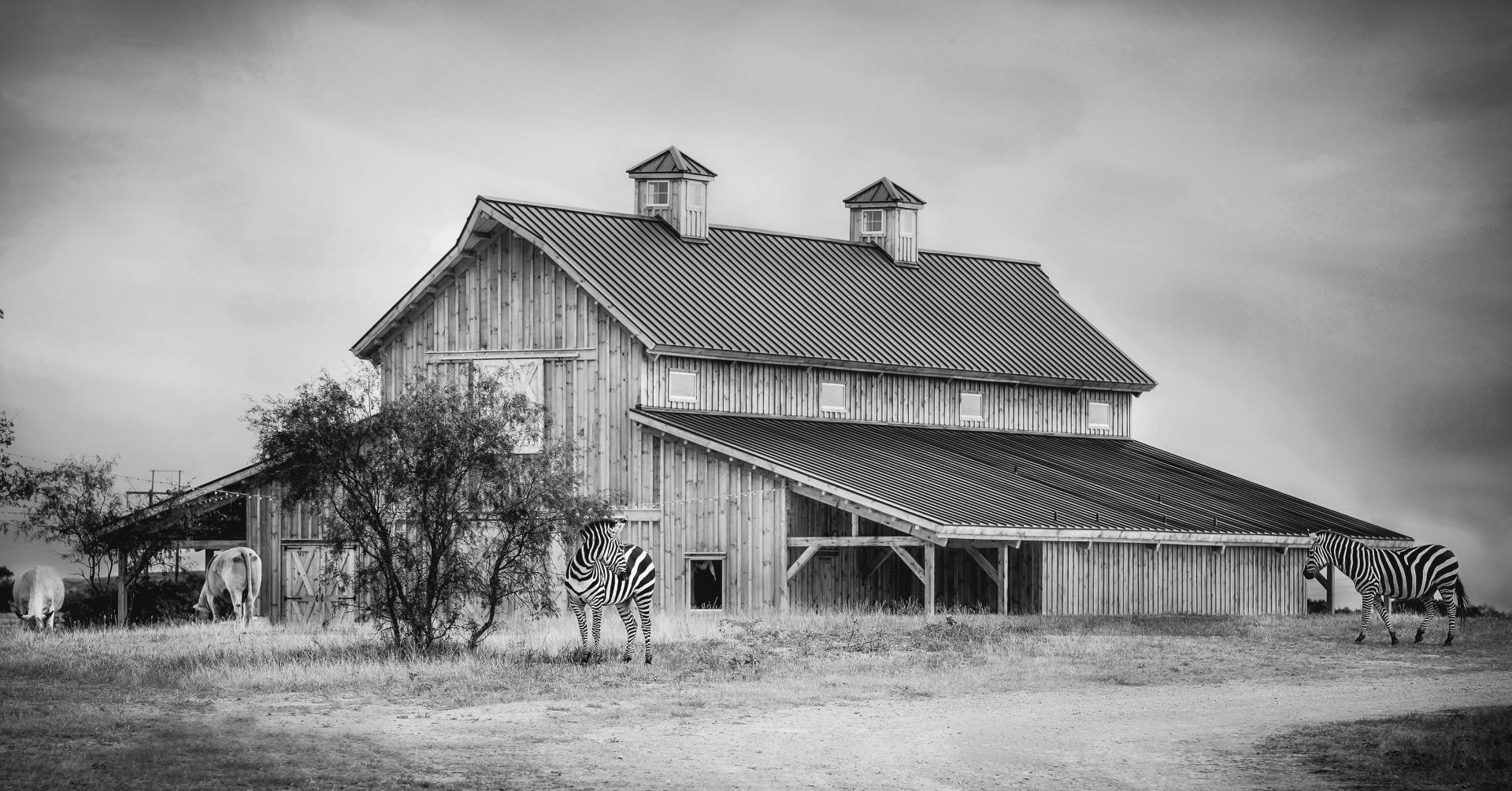 London Photography Awards Winner - Blue Hills Ranch