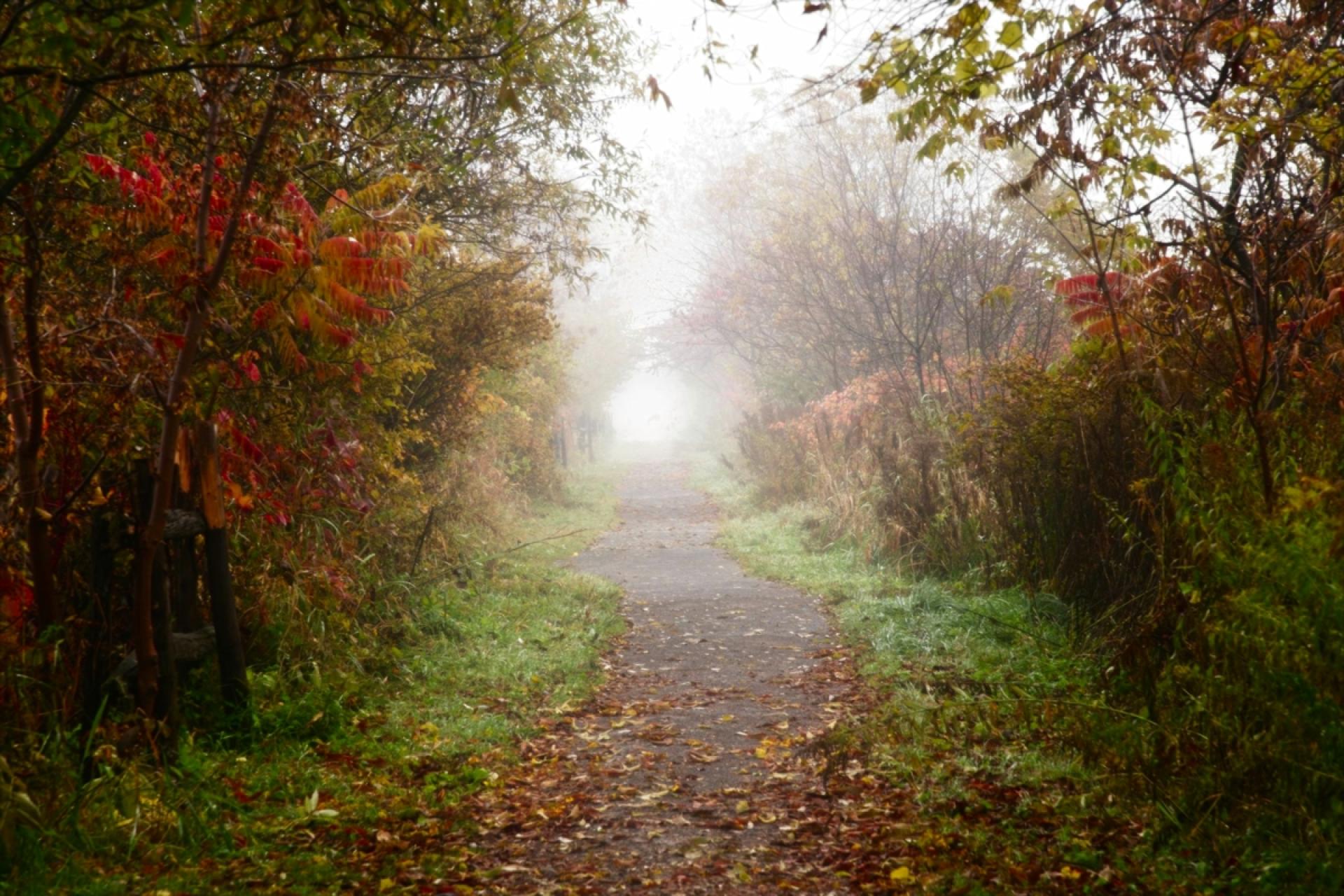 London Photography Awards Winner - Peaceful Morning at the Marsh