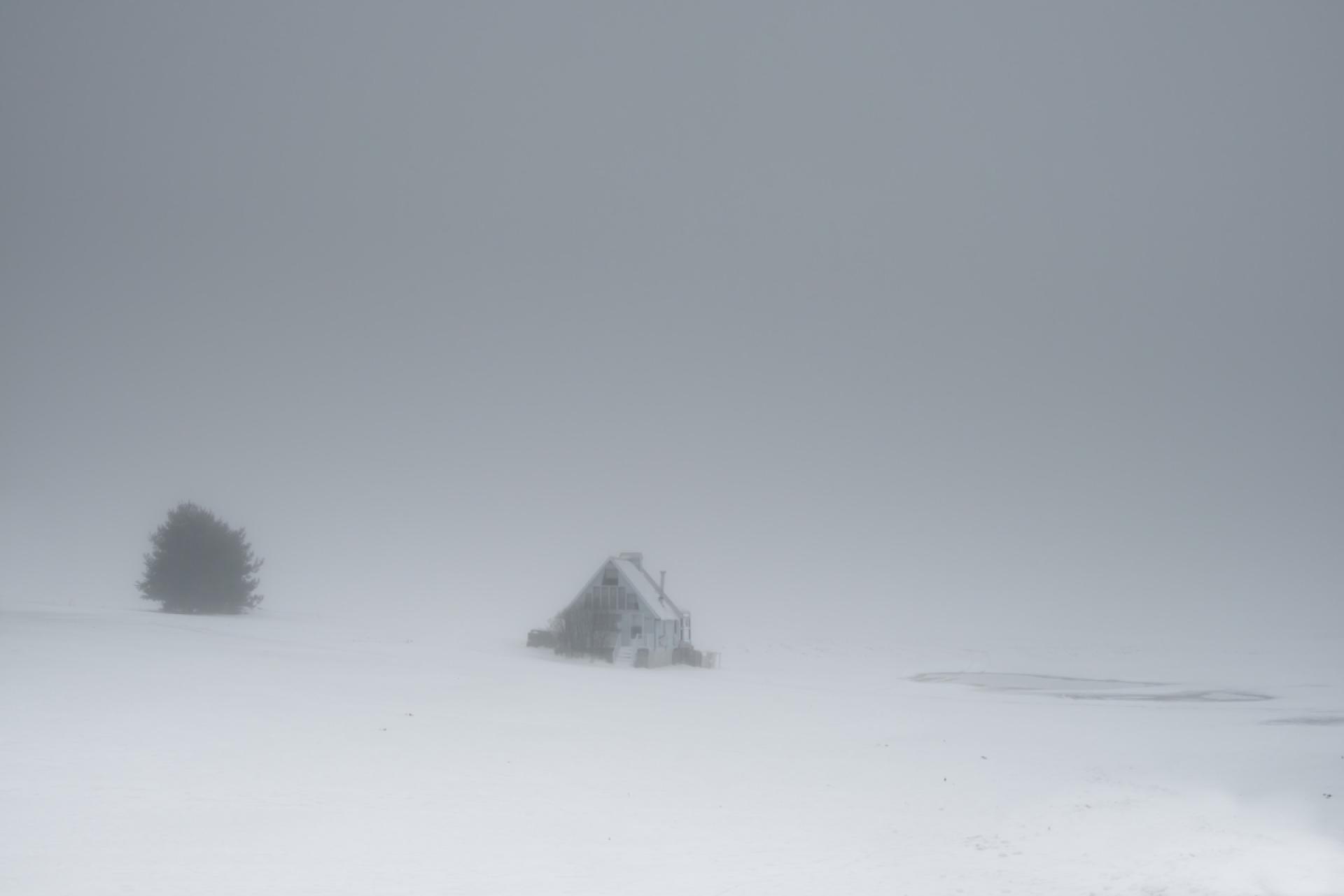 London Photography Awards Winner - Inner Respite