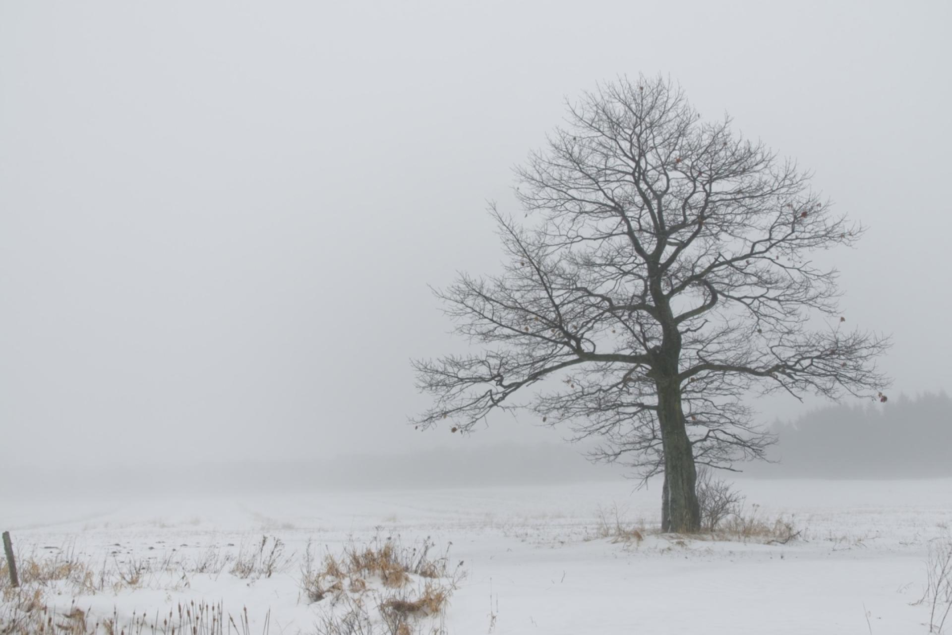 London Photography Awards Winner - Inner Respite