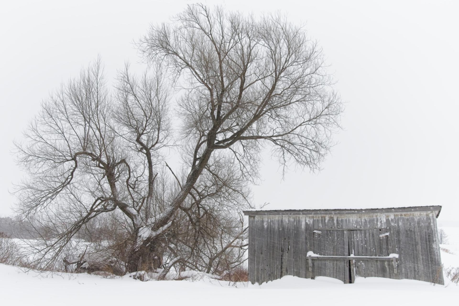 London Photography Awards Winner - Inner Respite
