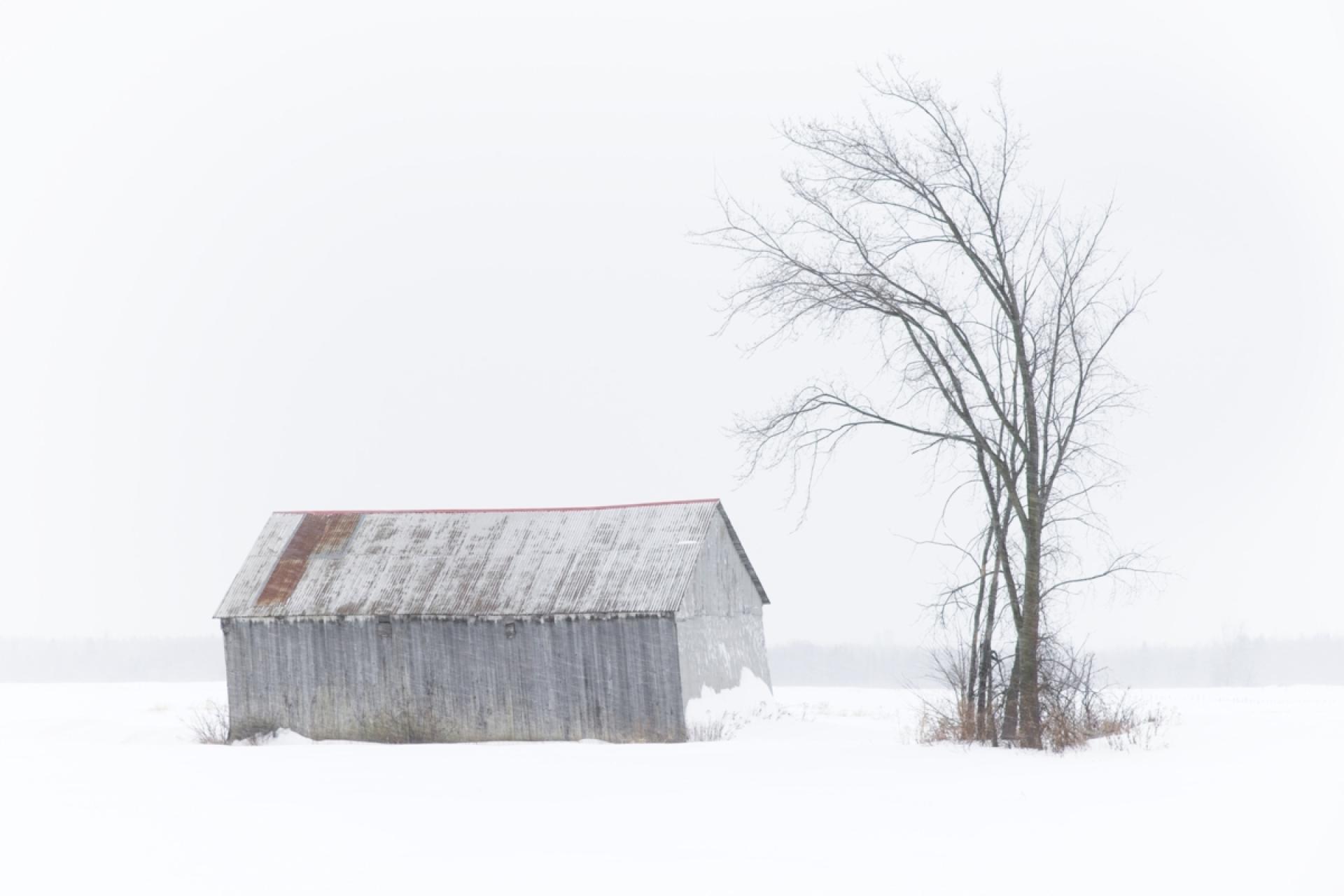 London Photography Awards Winner - Inner Respite