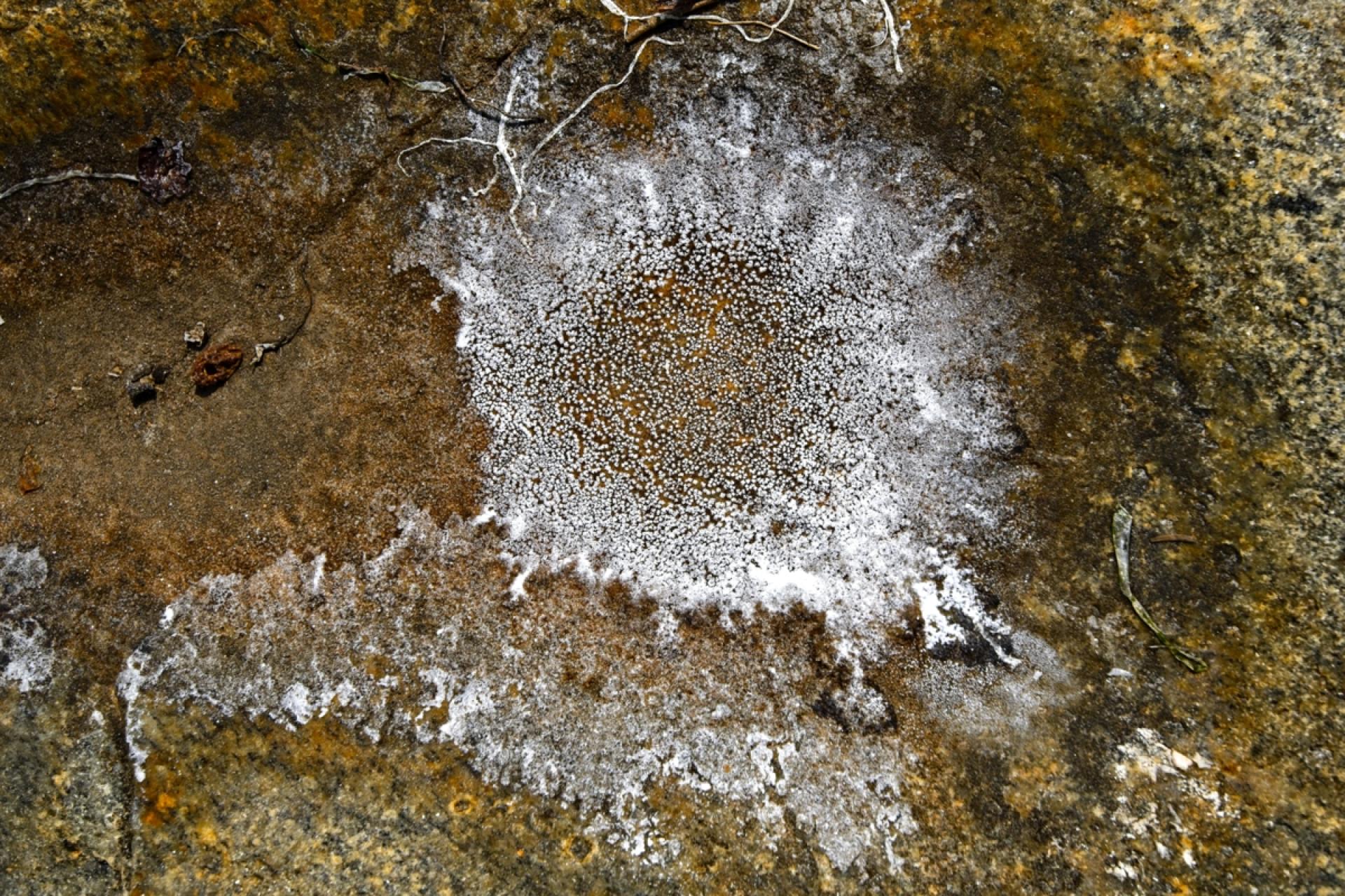 London Photography Awards Winner - The Great Geological Division
