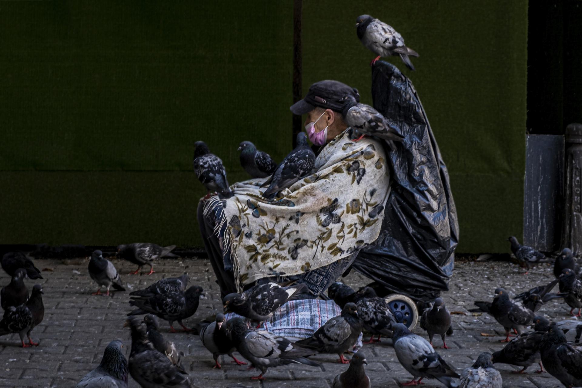 London Photography Awards Winner - Reine des pigeons