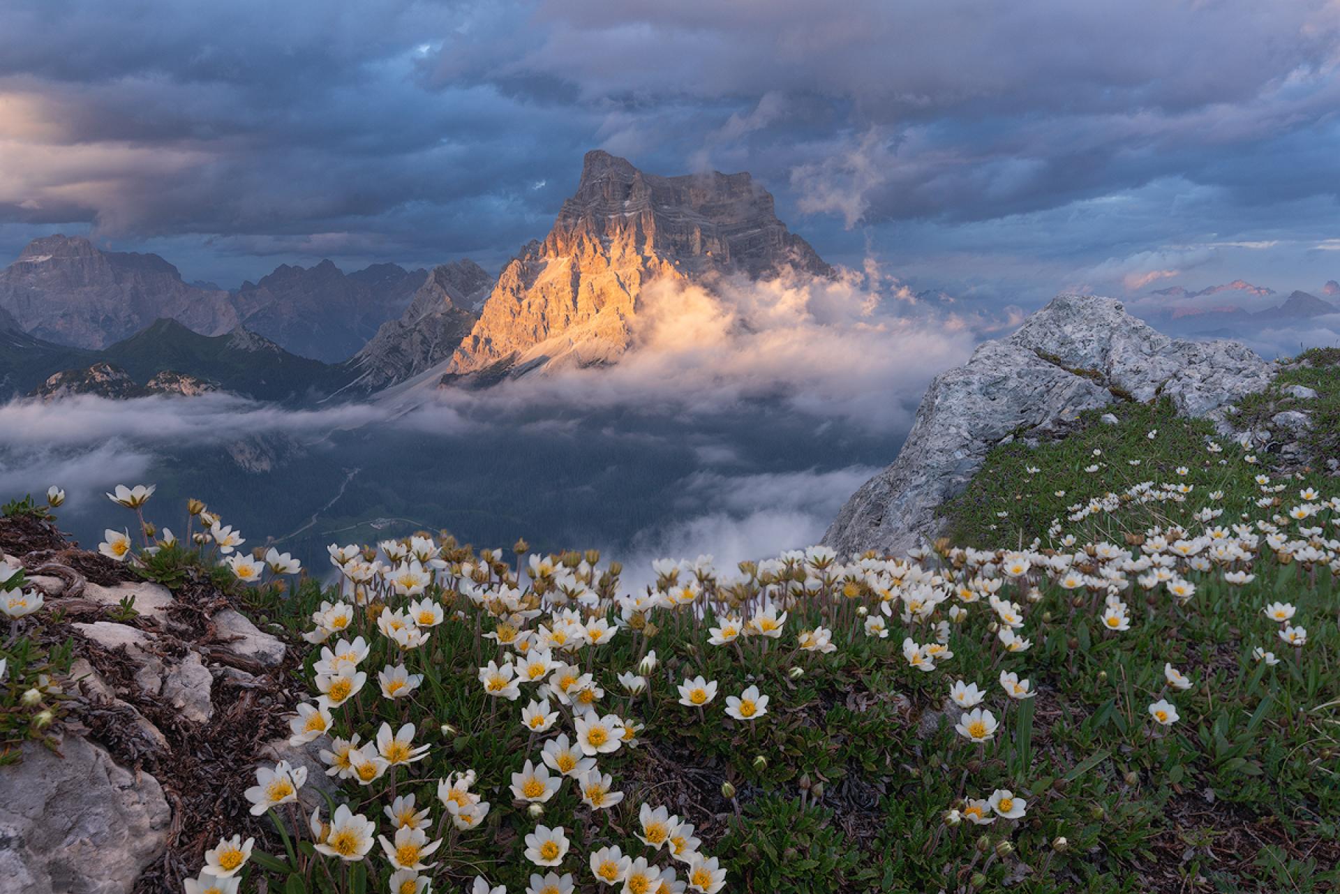 London Photography Awards Winner - Enchantment