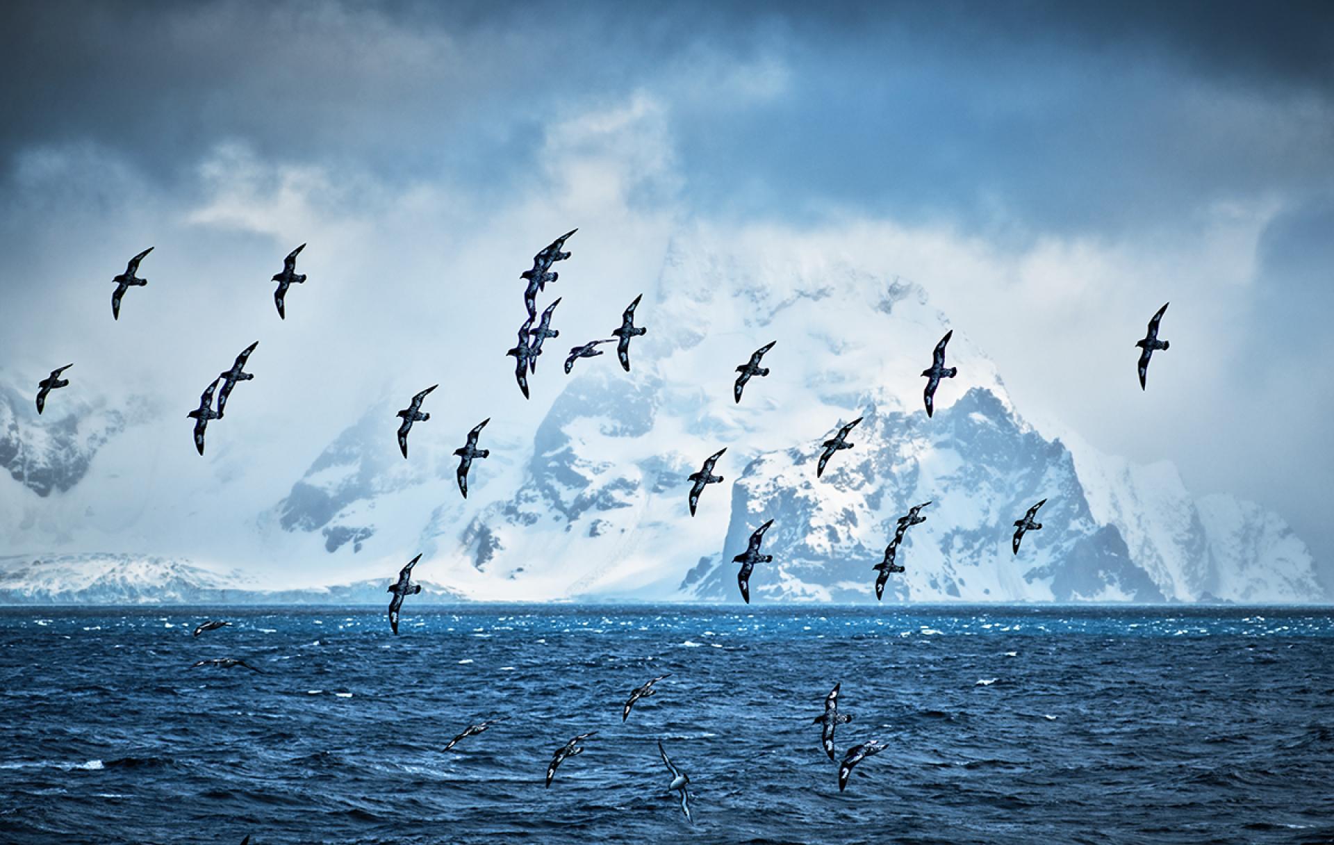 London Photography Awards Winner - Beautiful Antarctica