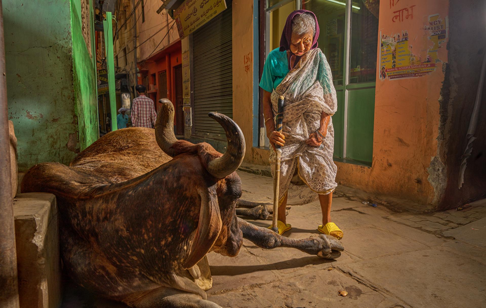 London Photography Awards Winner - The Old Handicaped Lady