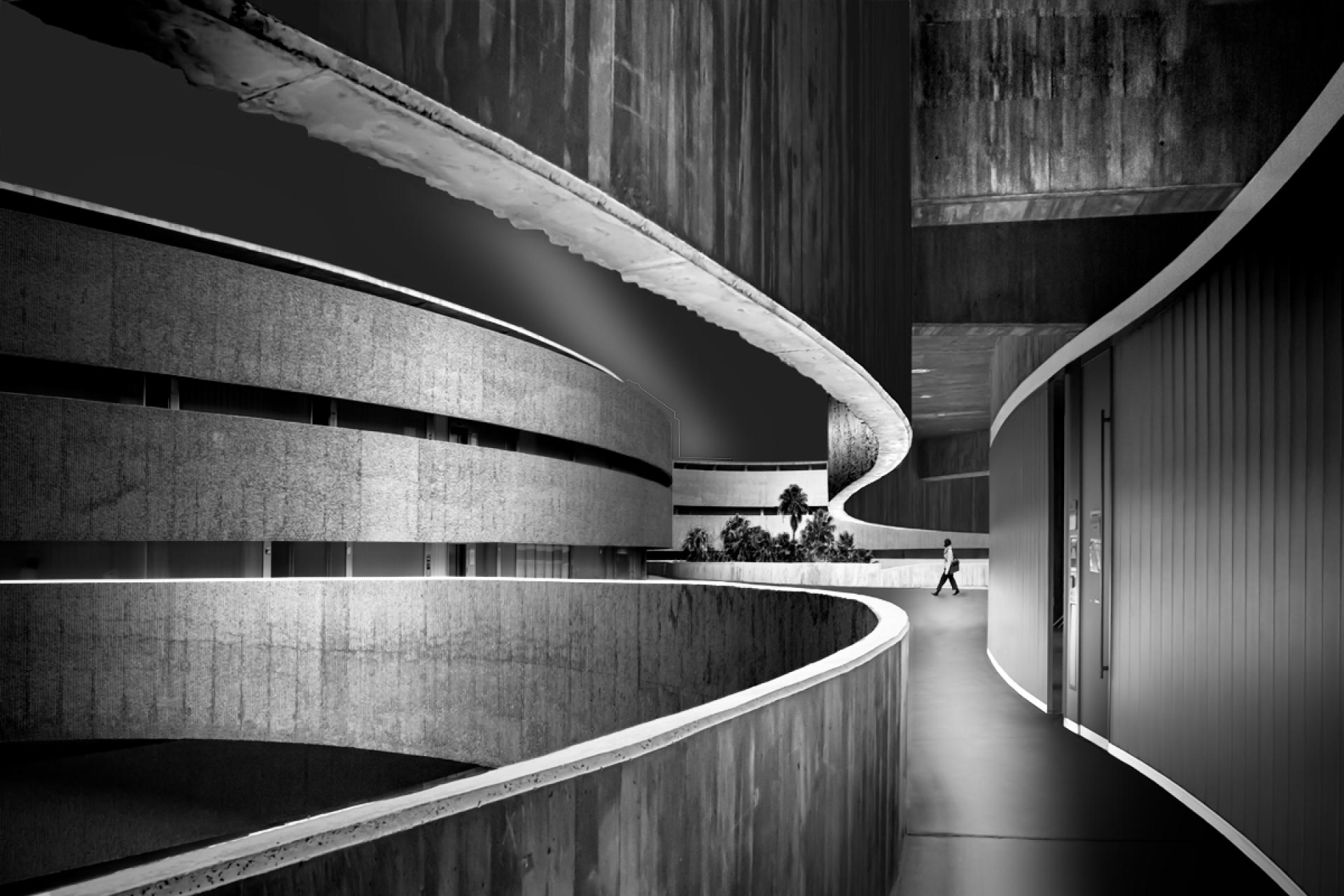 London Photography Awards Winner - CURVES