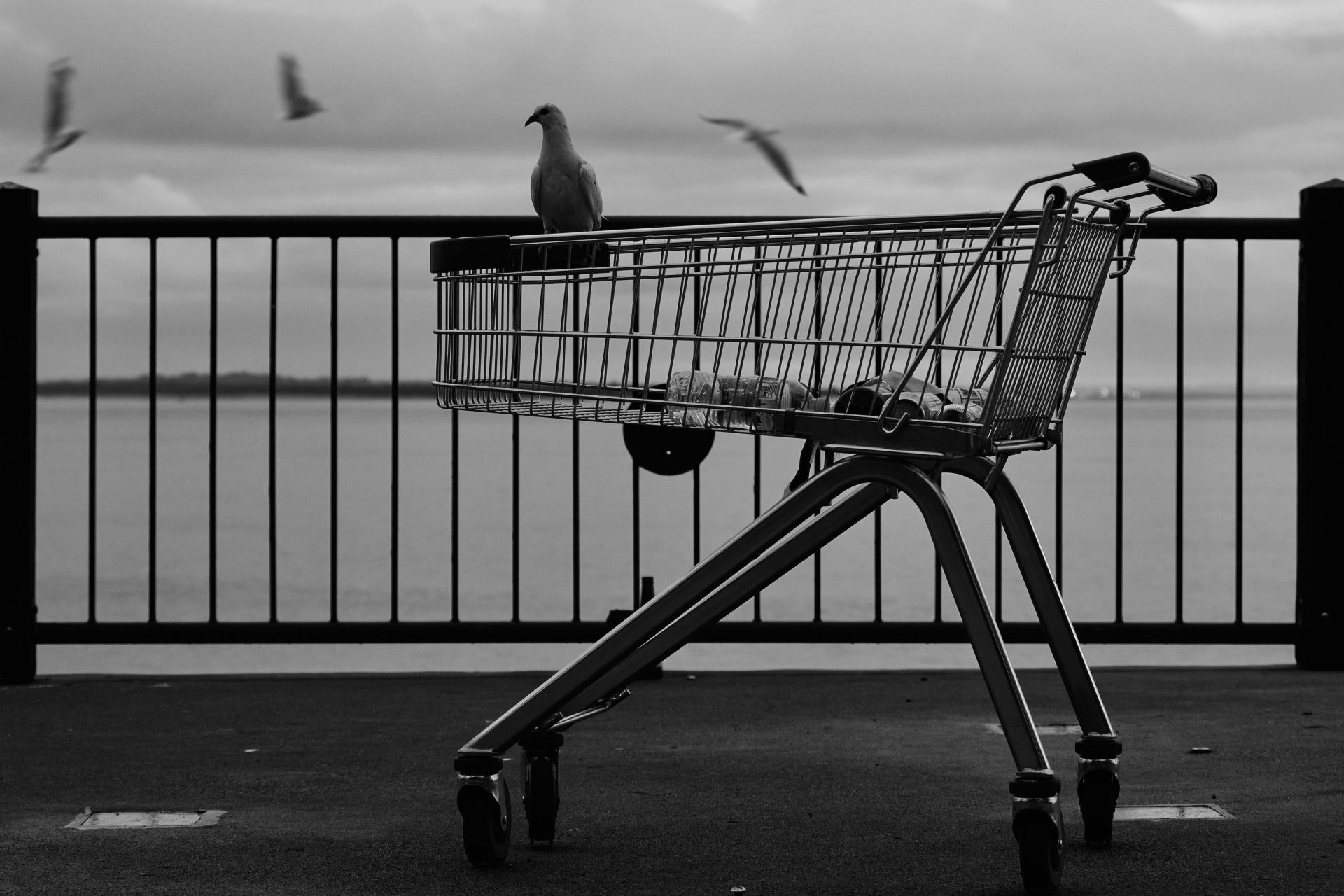 London Photography Awards Winner - Phillip Island