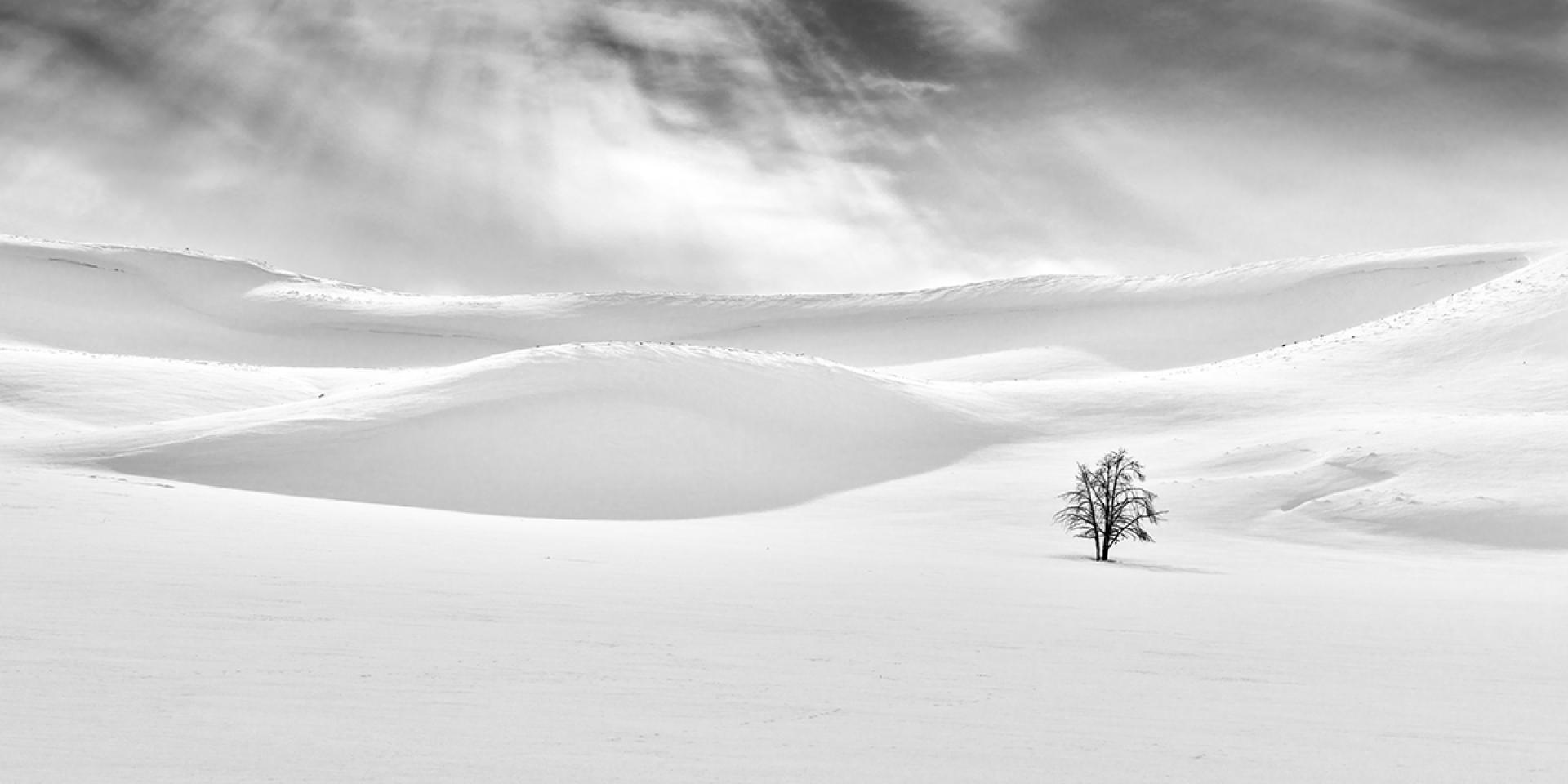 London Photography Awards Winner - The Many Faces of Yellowstone National Park