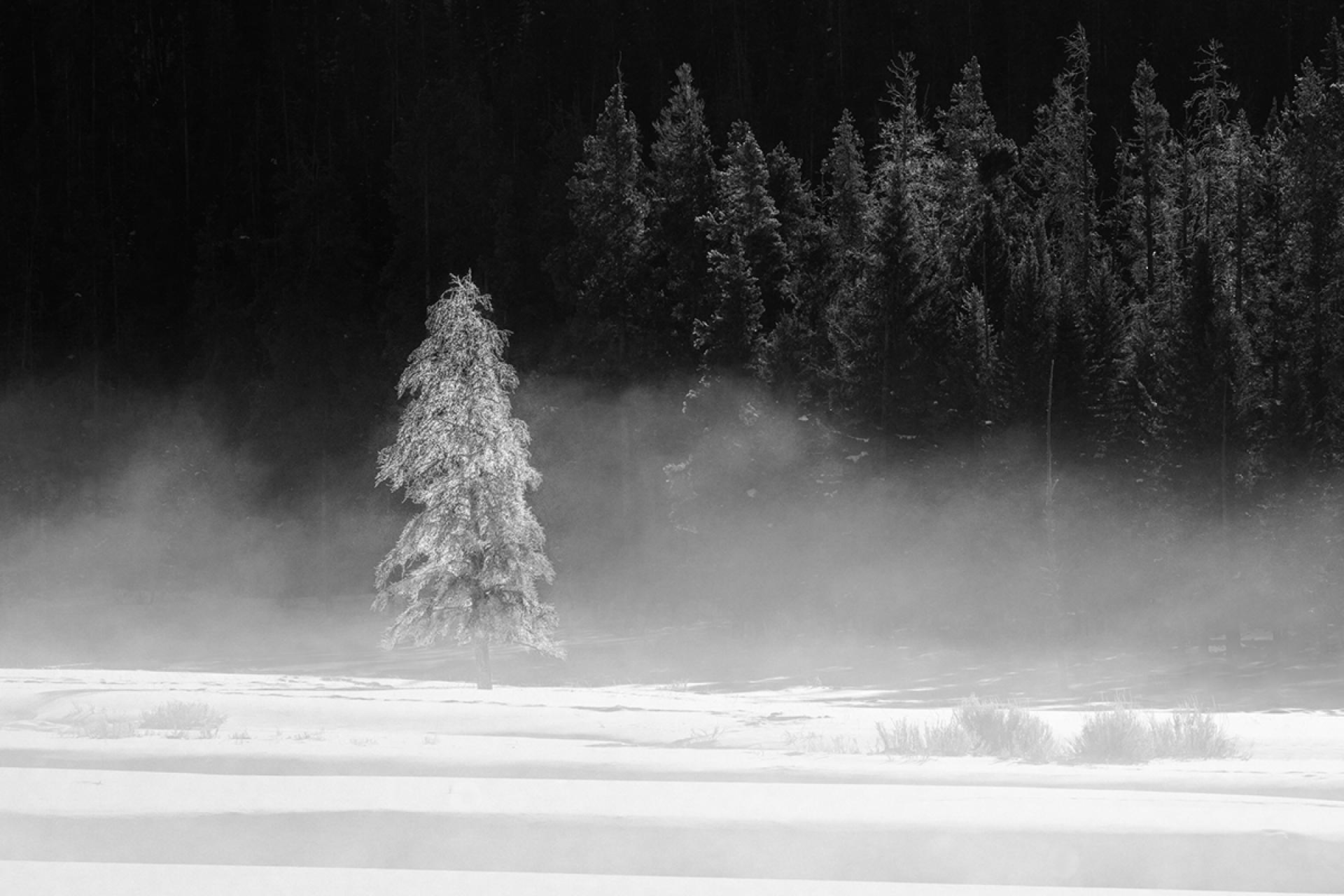 London Photography Awards Winner - The Many Faces of Yellowstone National Park