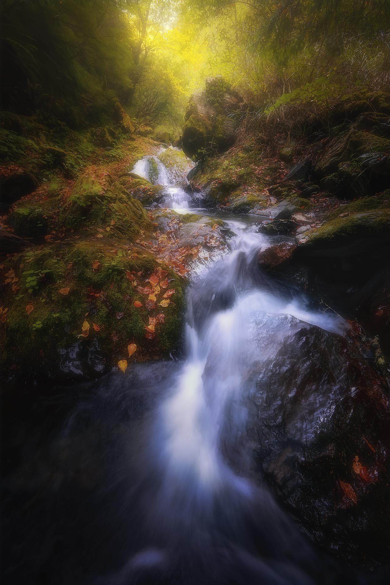 London Photography Awards Winner - 秋天