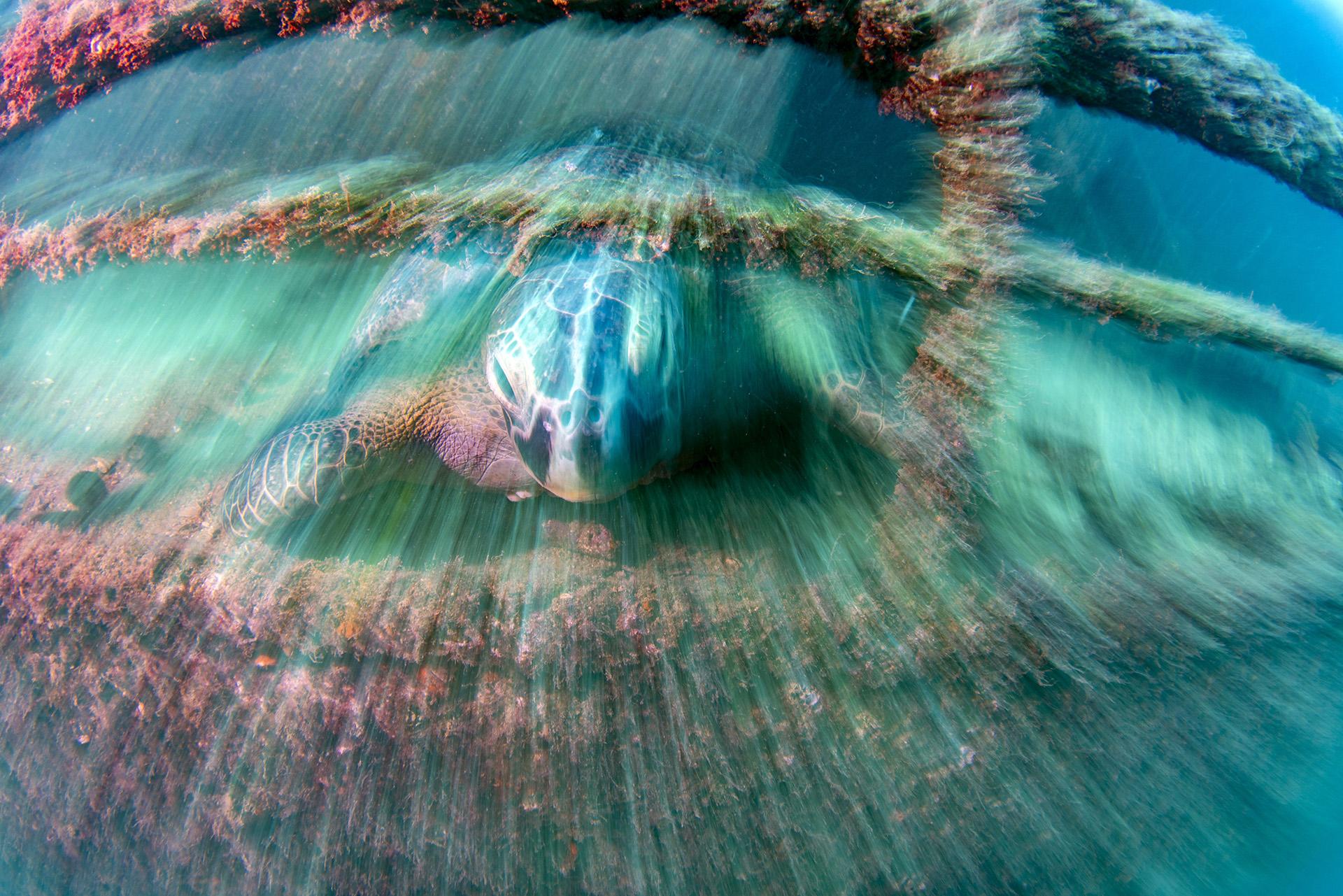 London Photography Awards Winner - The Haunted Wreck