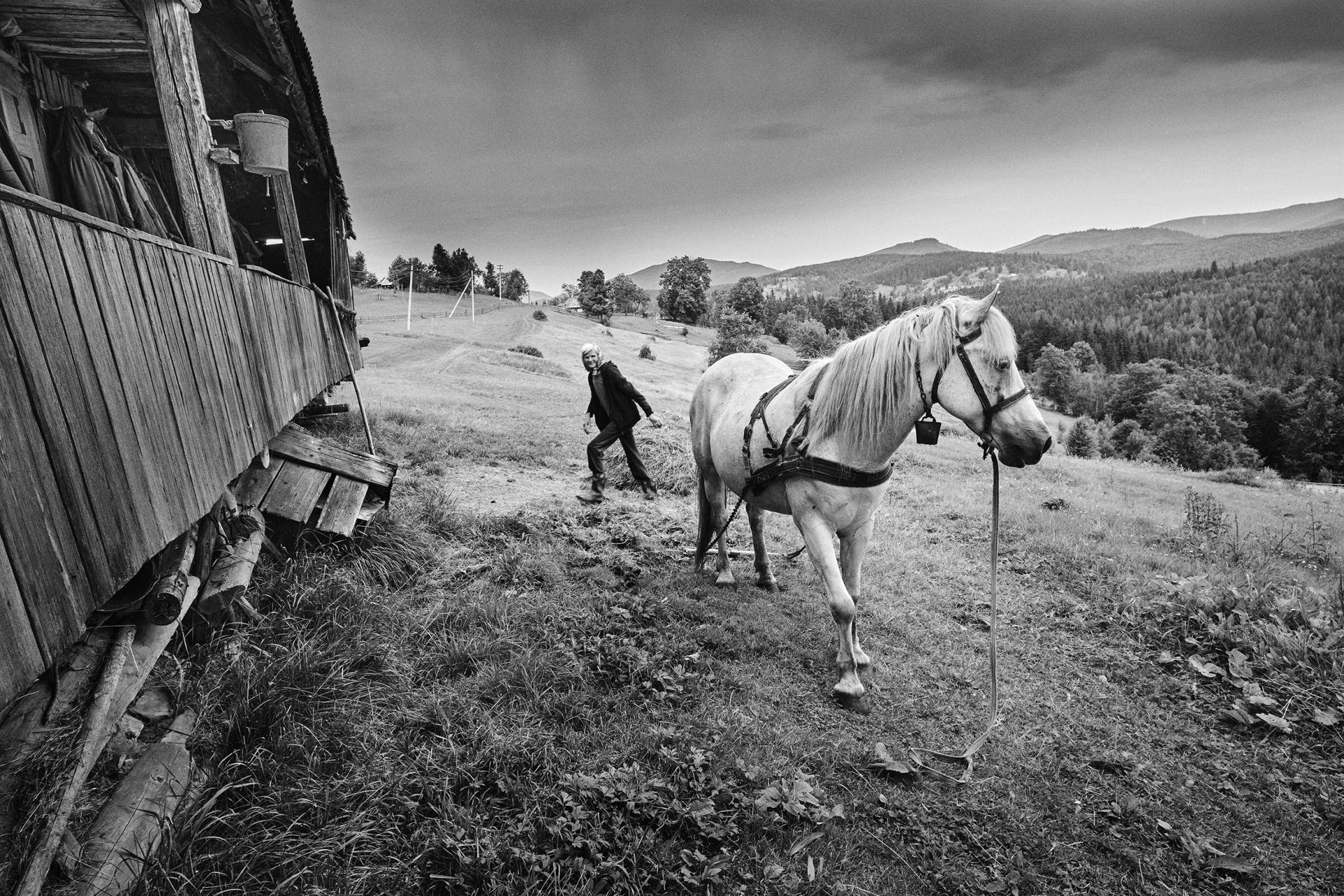 London Photography Awards Winner - Highland inhabitants of the Ukrainian Carpathians.