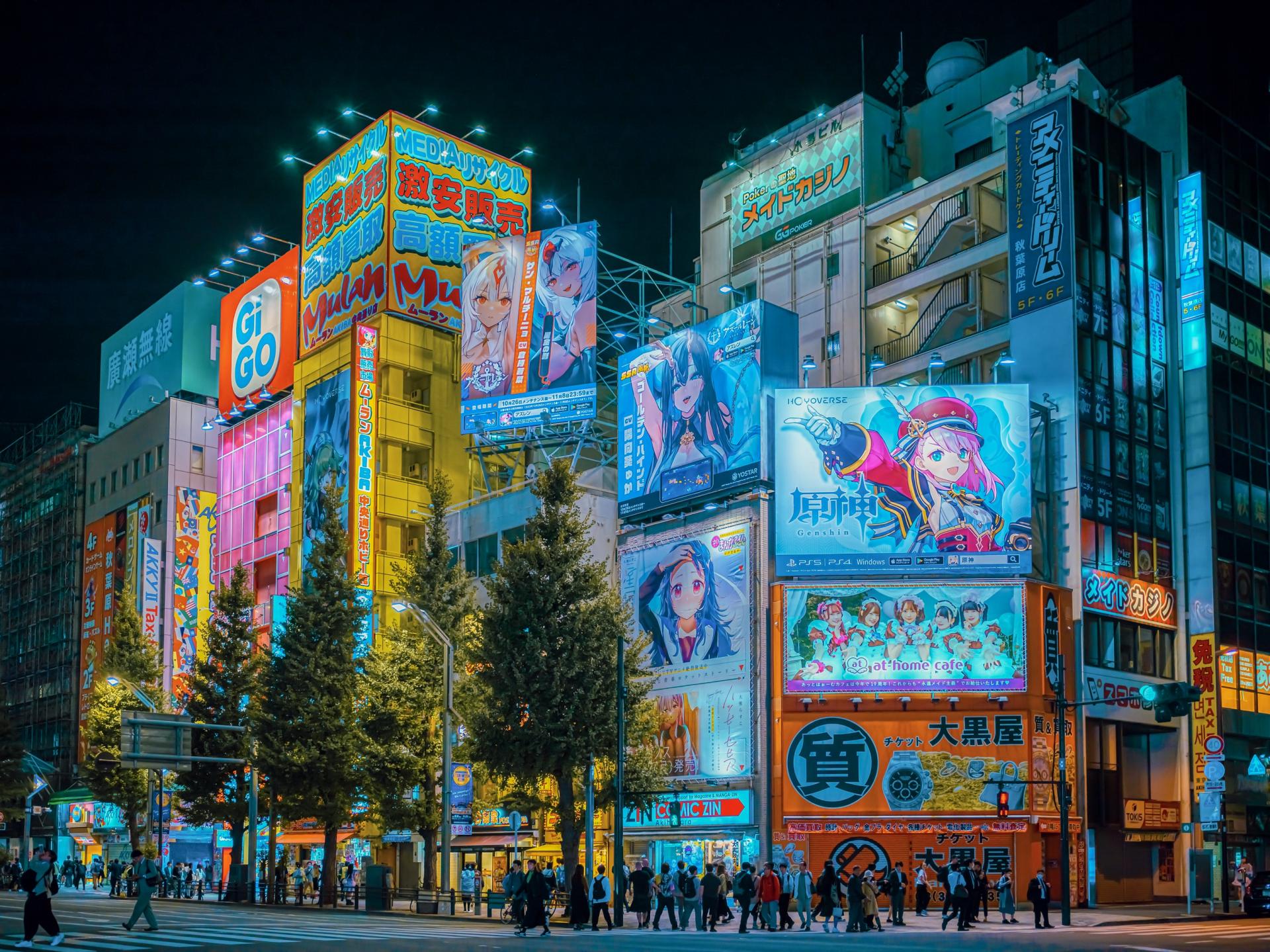 London Photography Awards Winner - Neon Fantasia - Akihabara Nightscapes