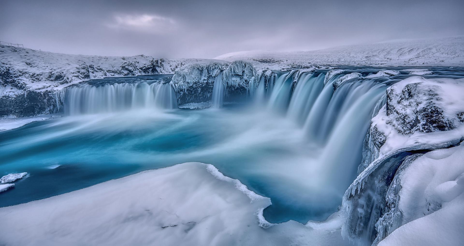 London Photography Awards Winner - yearning for spring